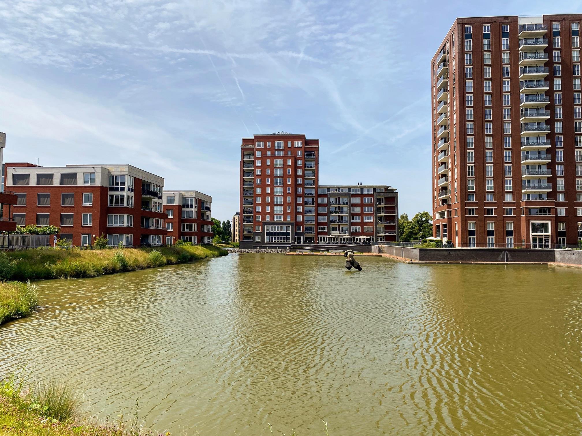 Irene Vorrinkstraat 457