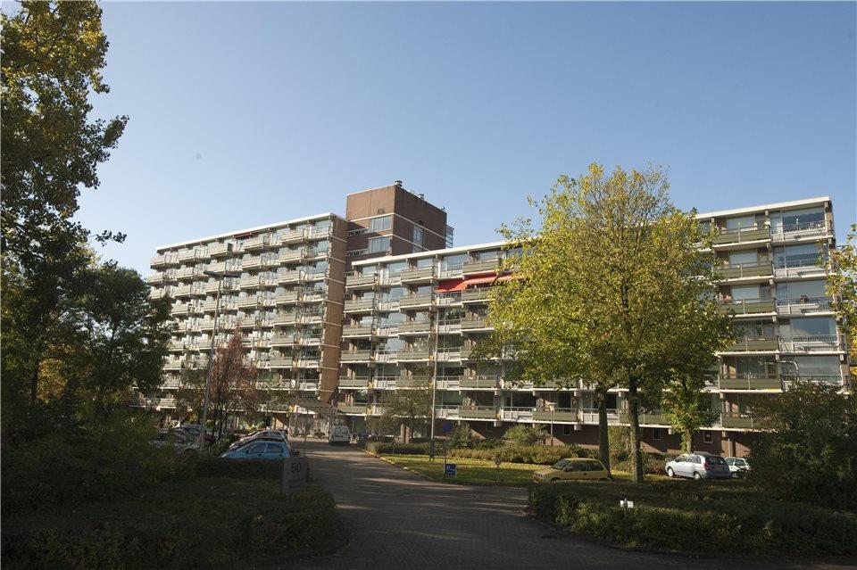 Gorinchemstraat 50610, 6843 KS Arnhem, Nederland