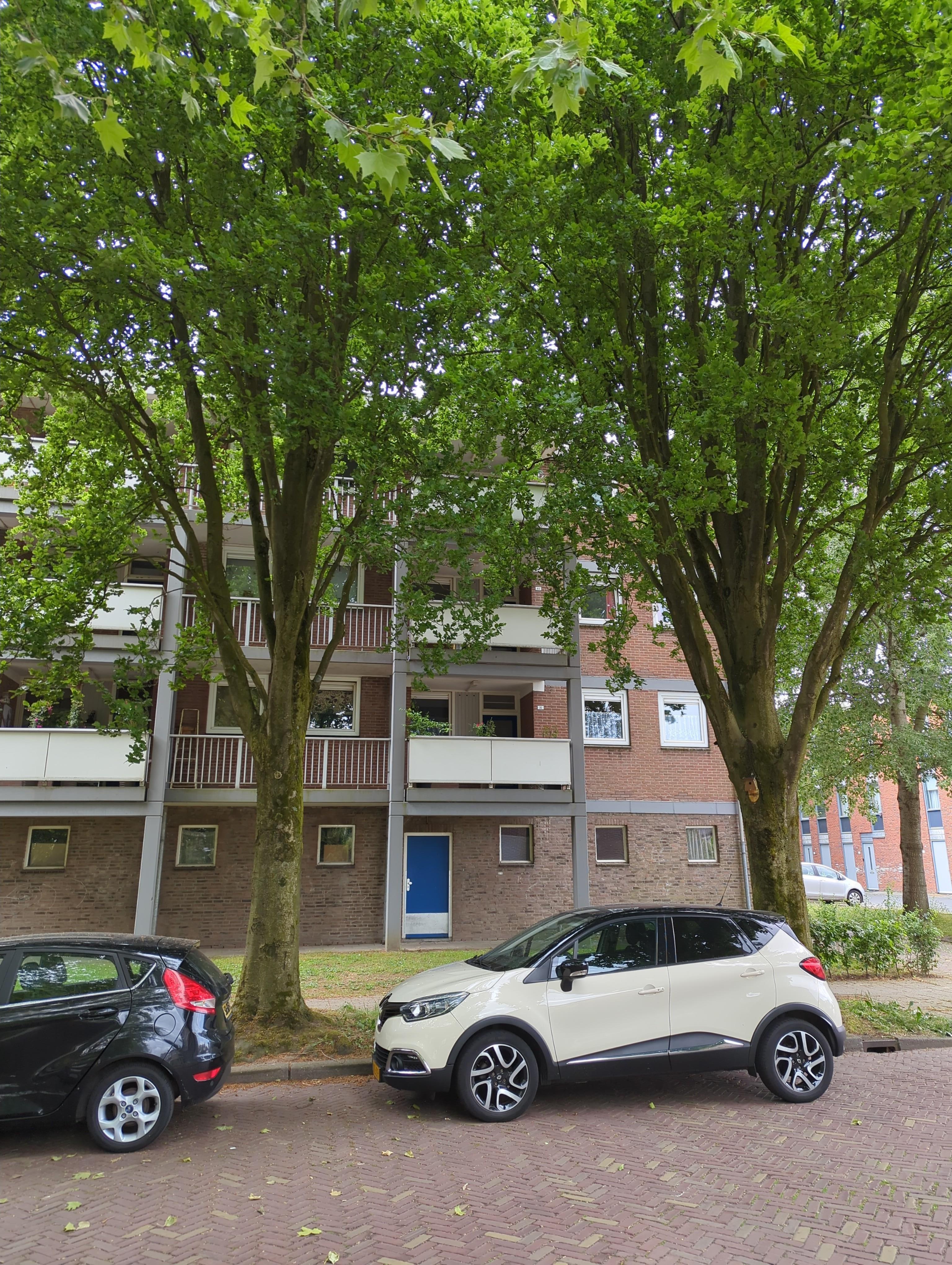 Engelenburgstraat 44