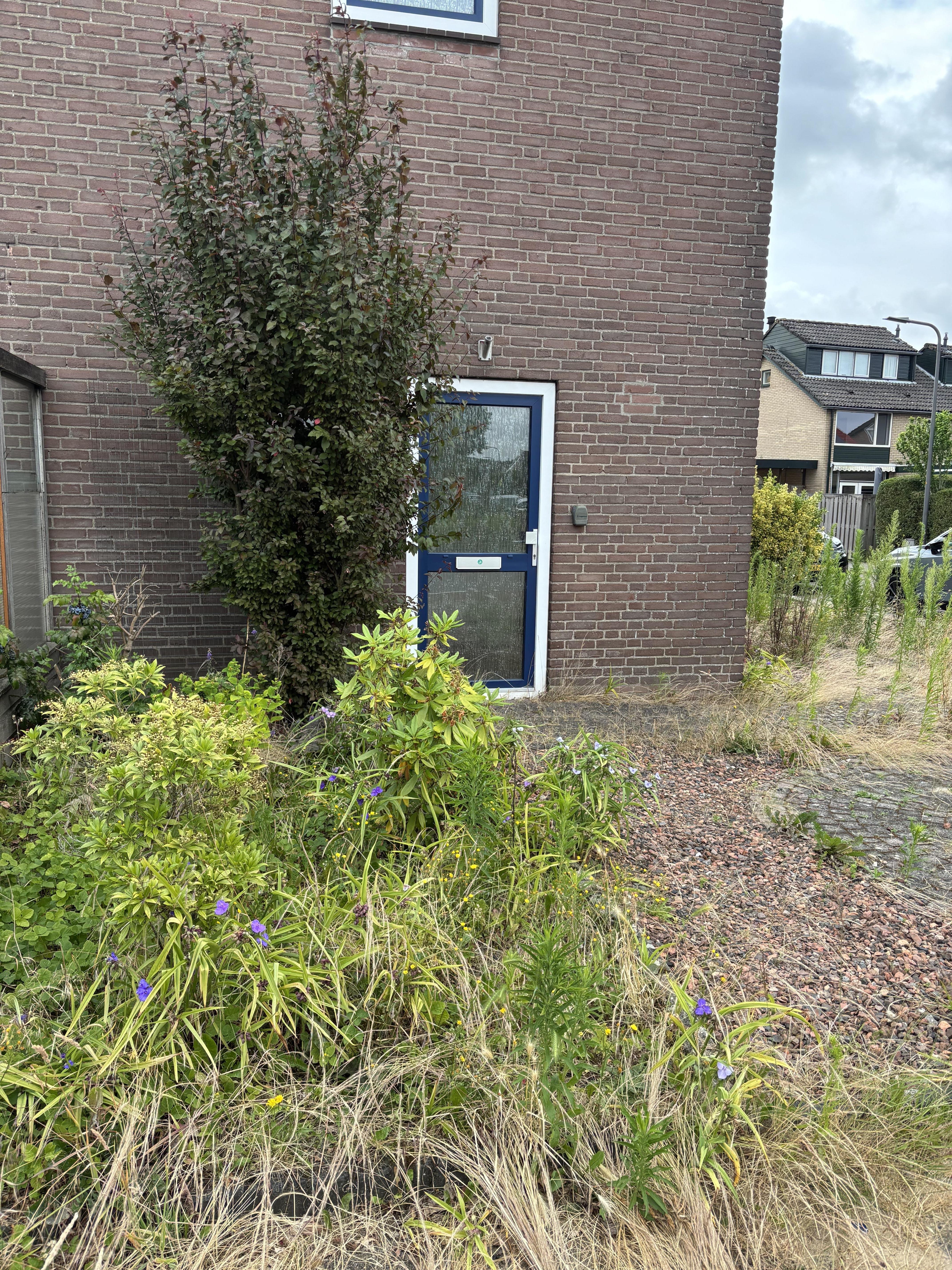 Steenbakkersweg 47, 6991 EL Rheden, Nederland