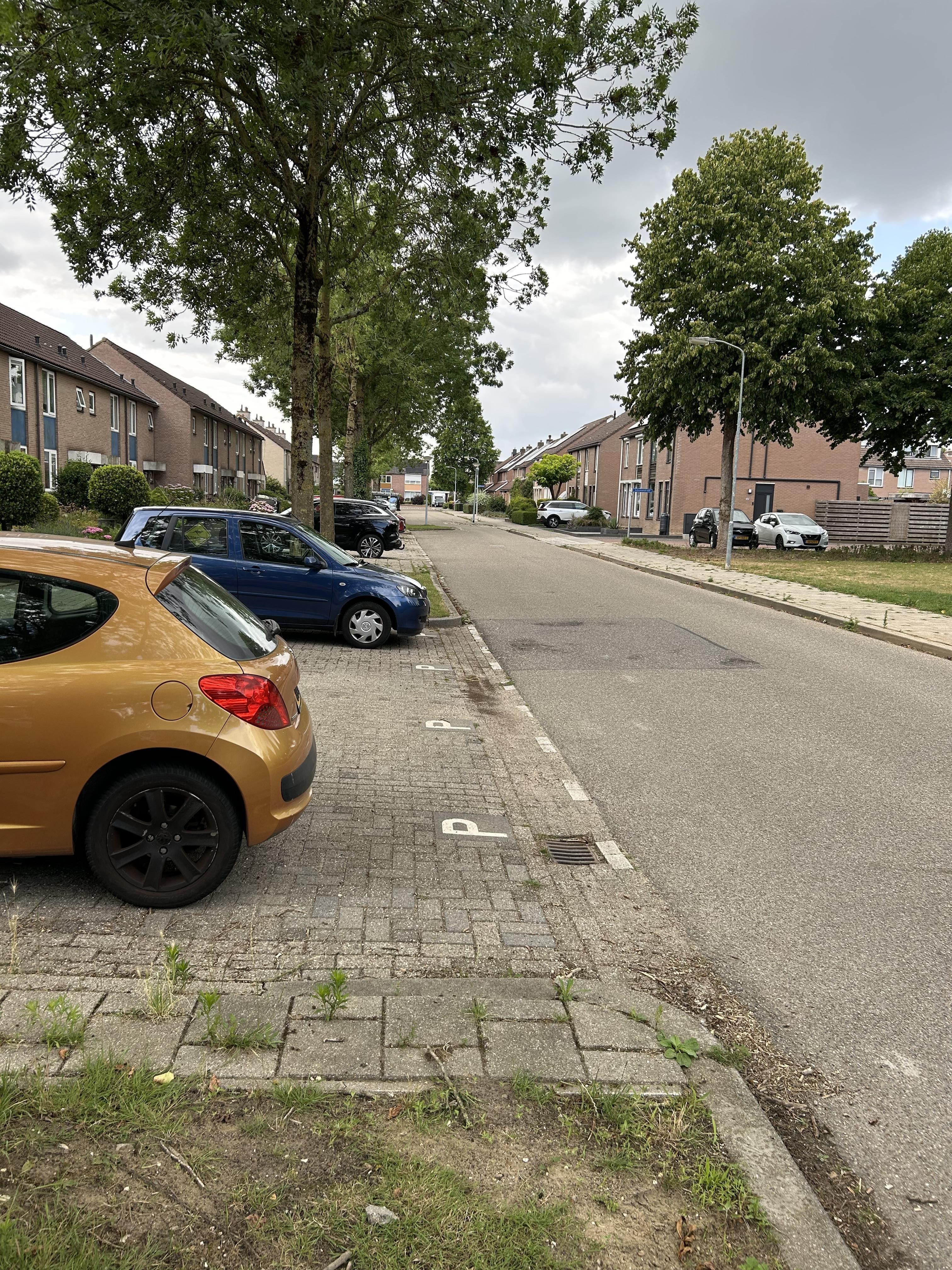 Privaslaan 45, 6904 LD Zevenaar, Nederland