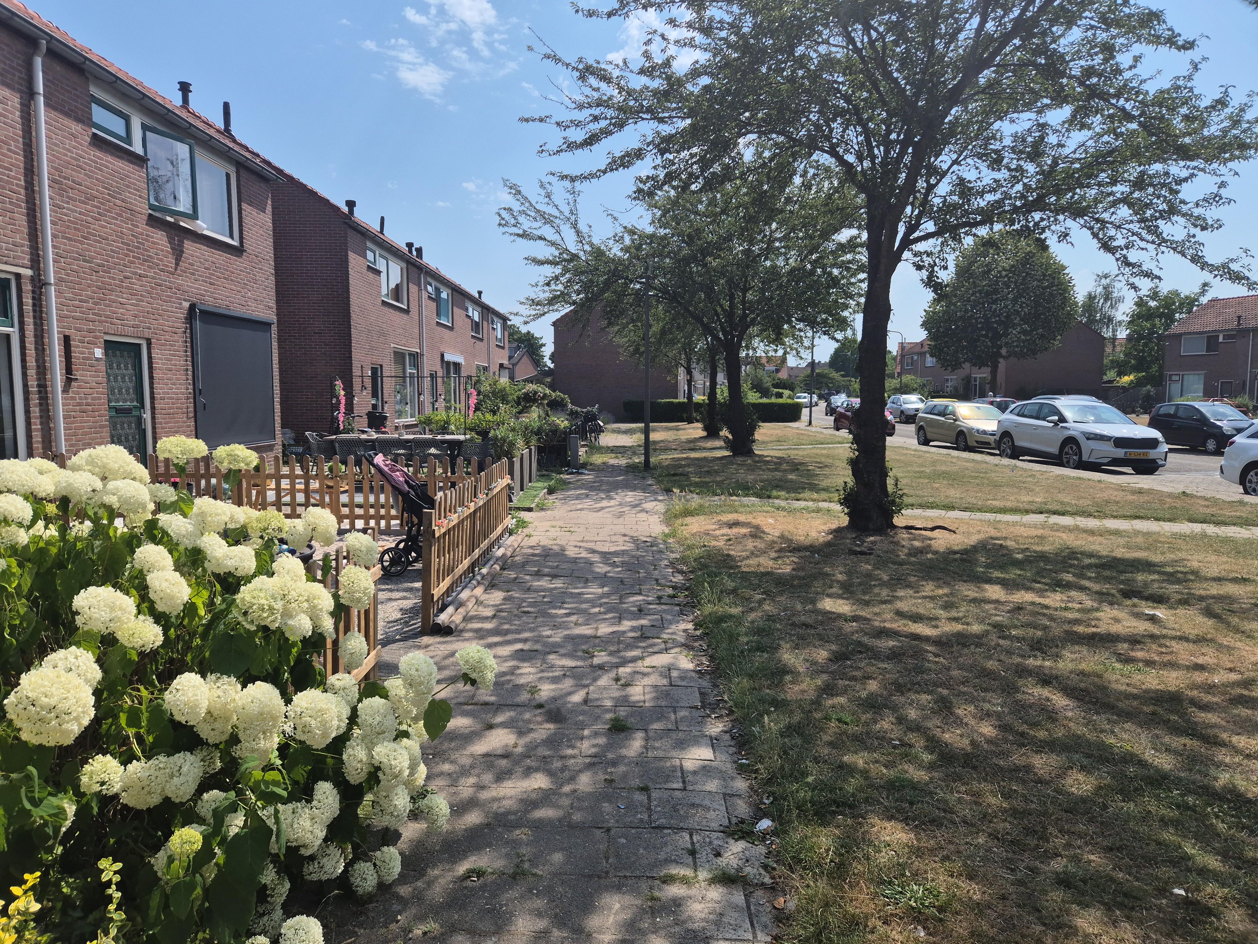 Doctor de Visserstraat 54