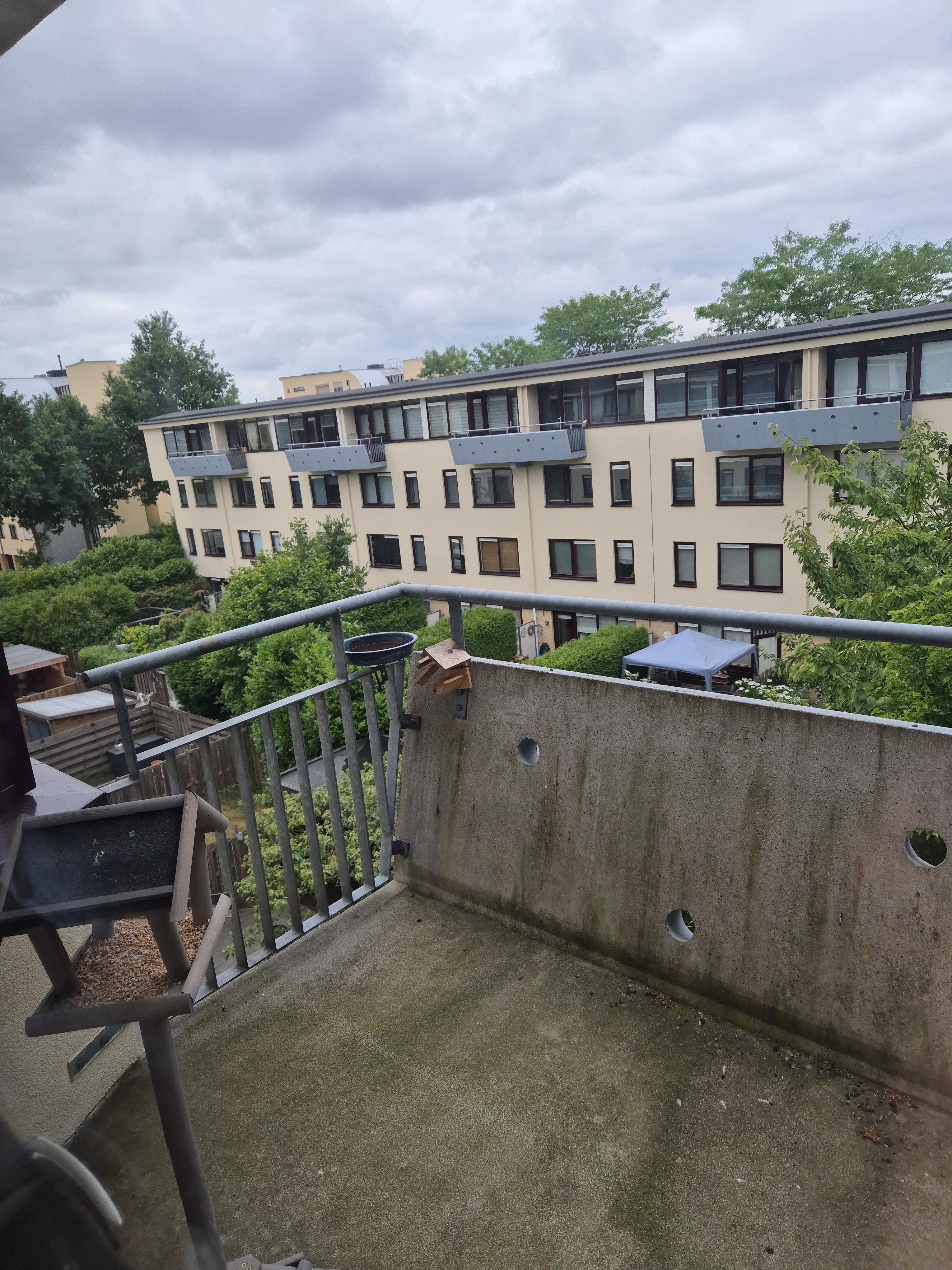 Suze Groenewegstraat 21