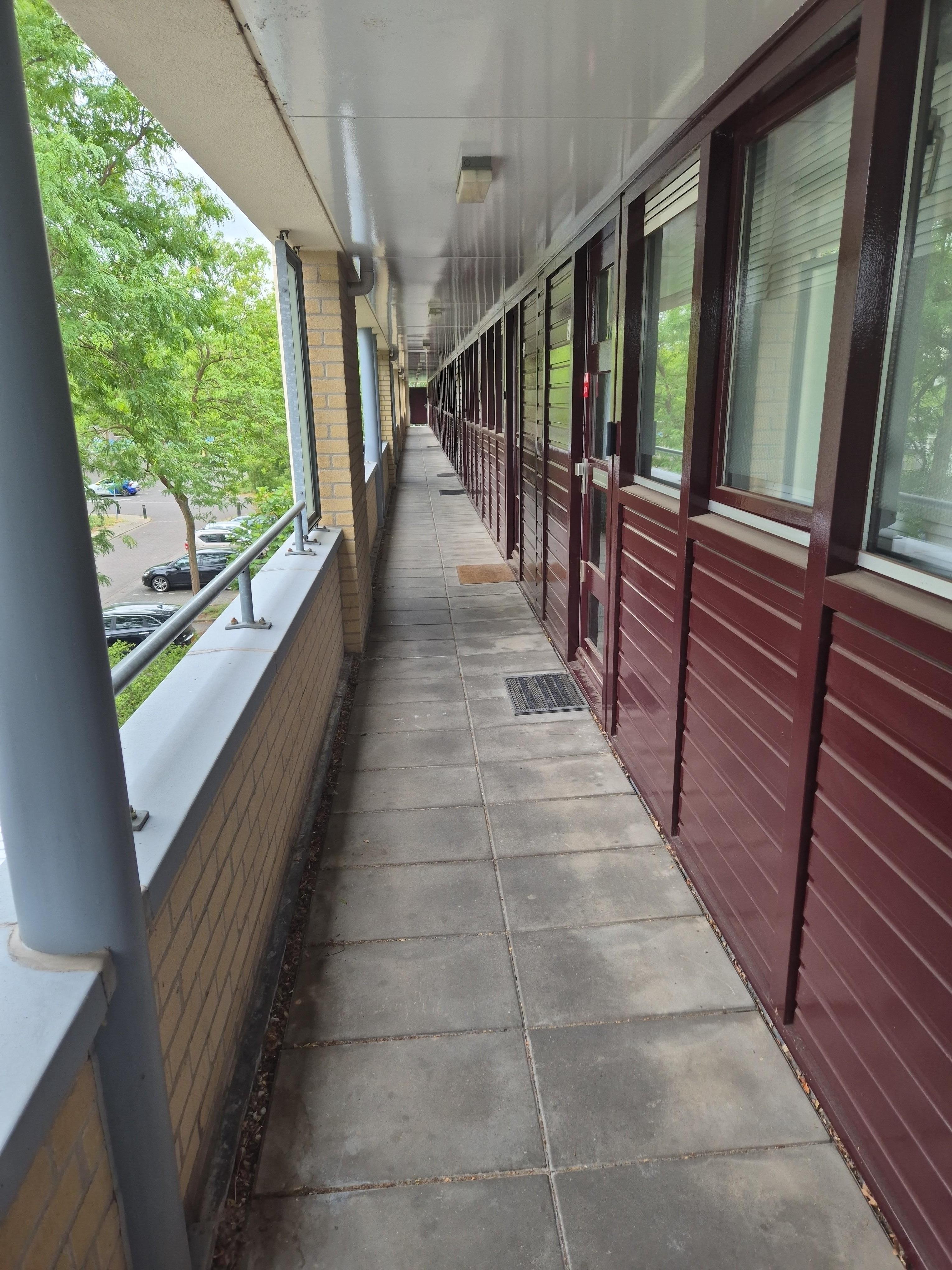 Suze Groenewegstraat 21