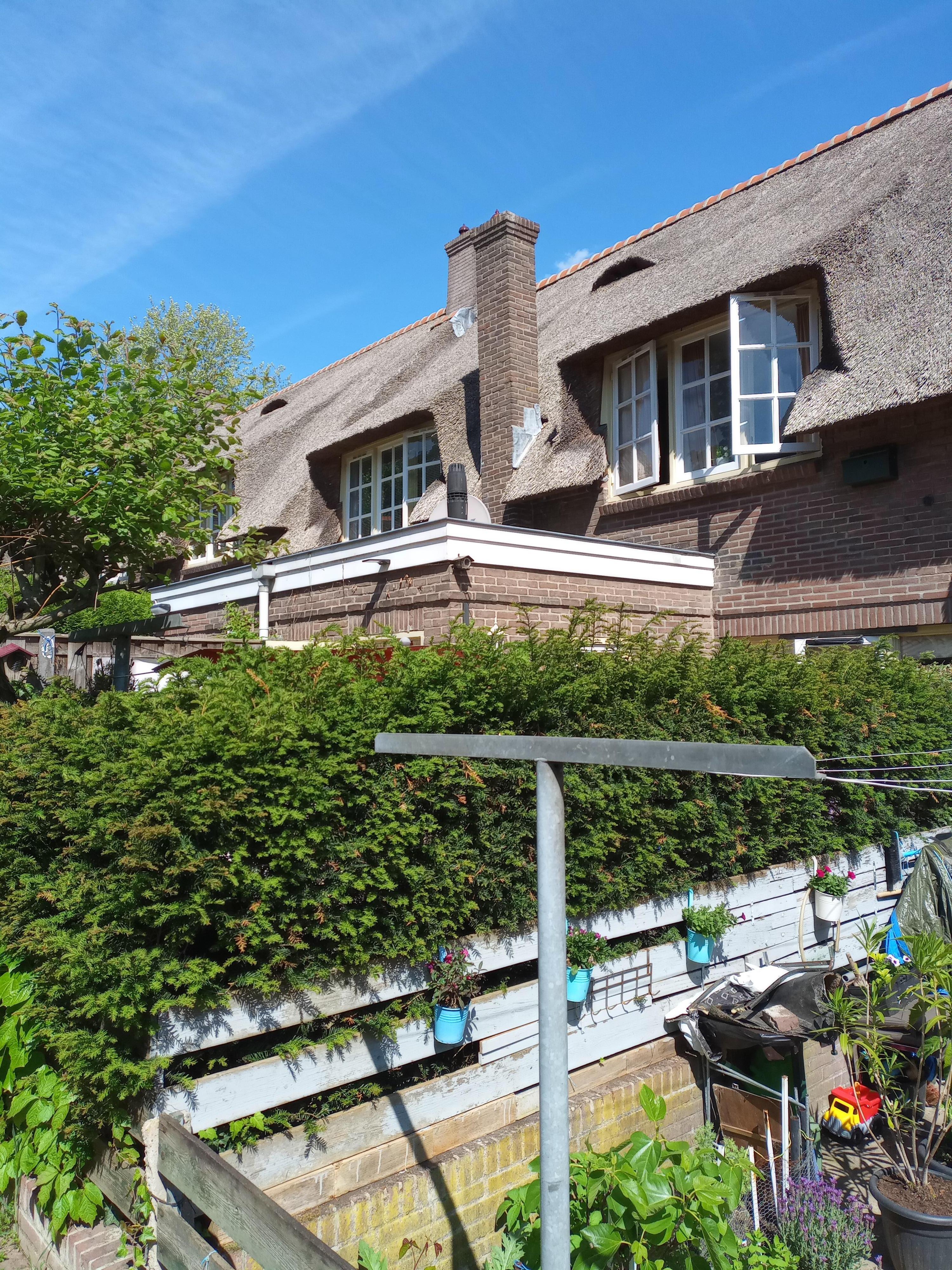 Middenlaan 16