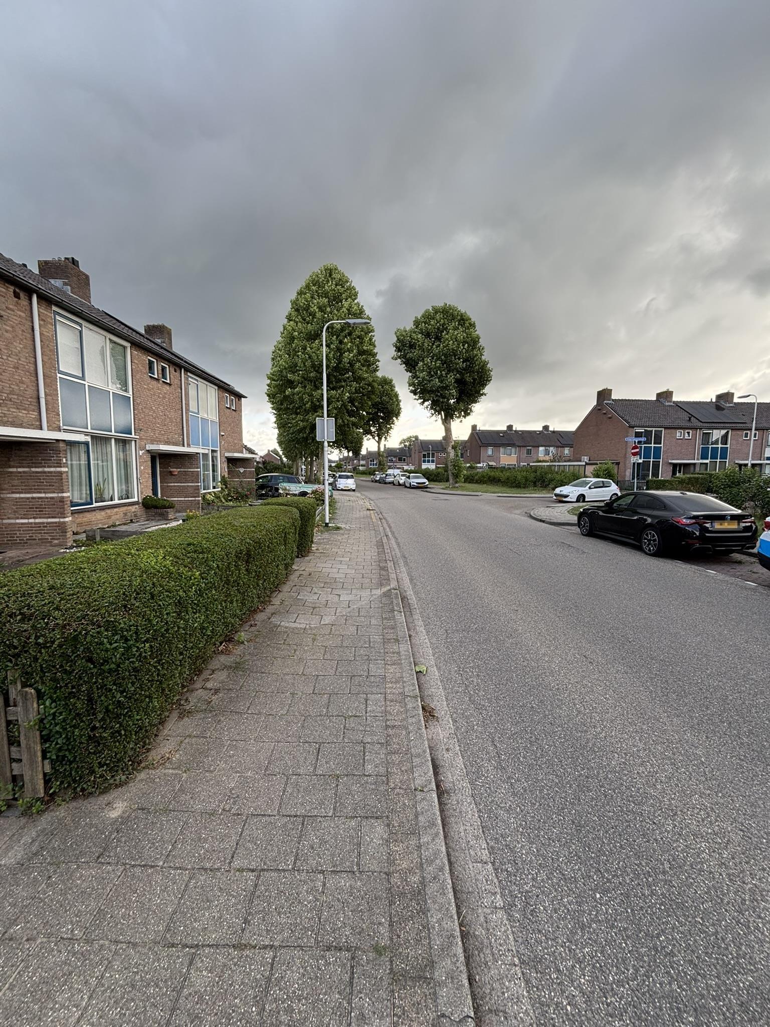 Willem de Zwijgerstraat 94