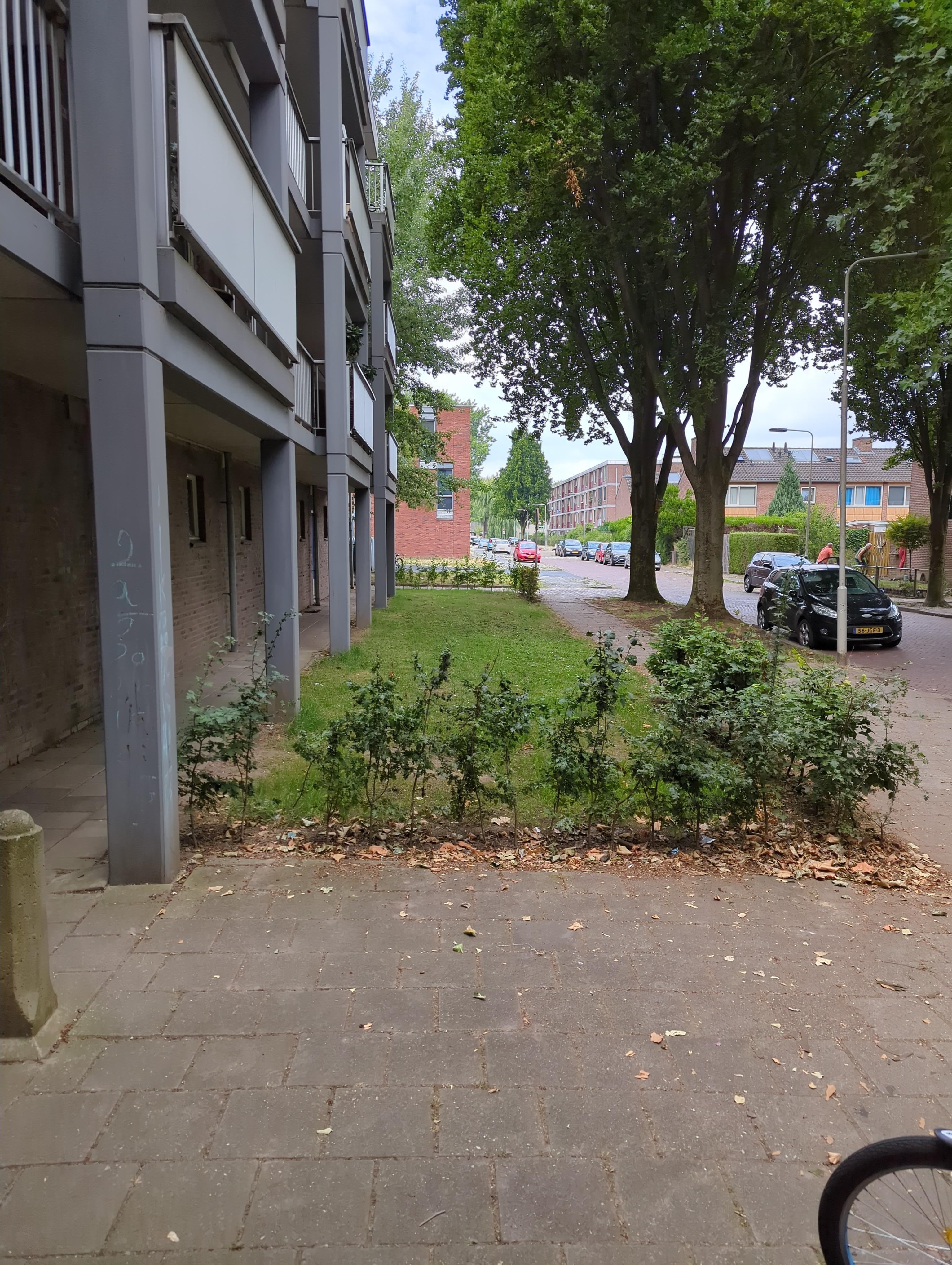 Engelenburgstraat 76