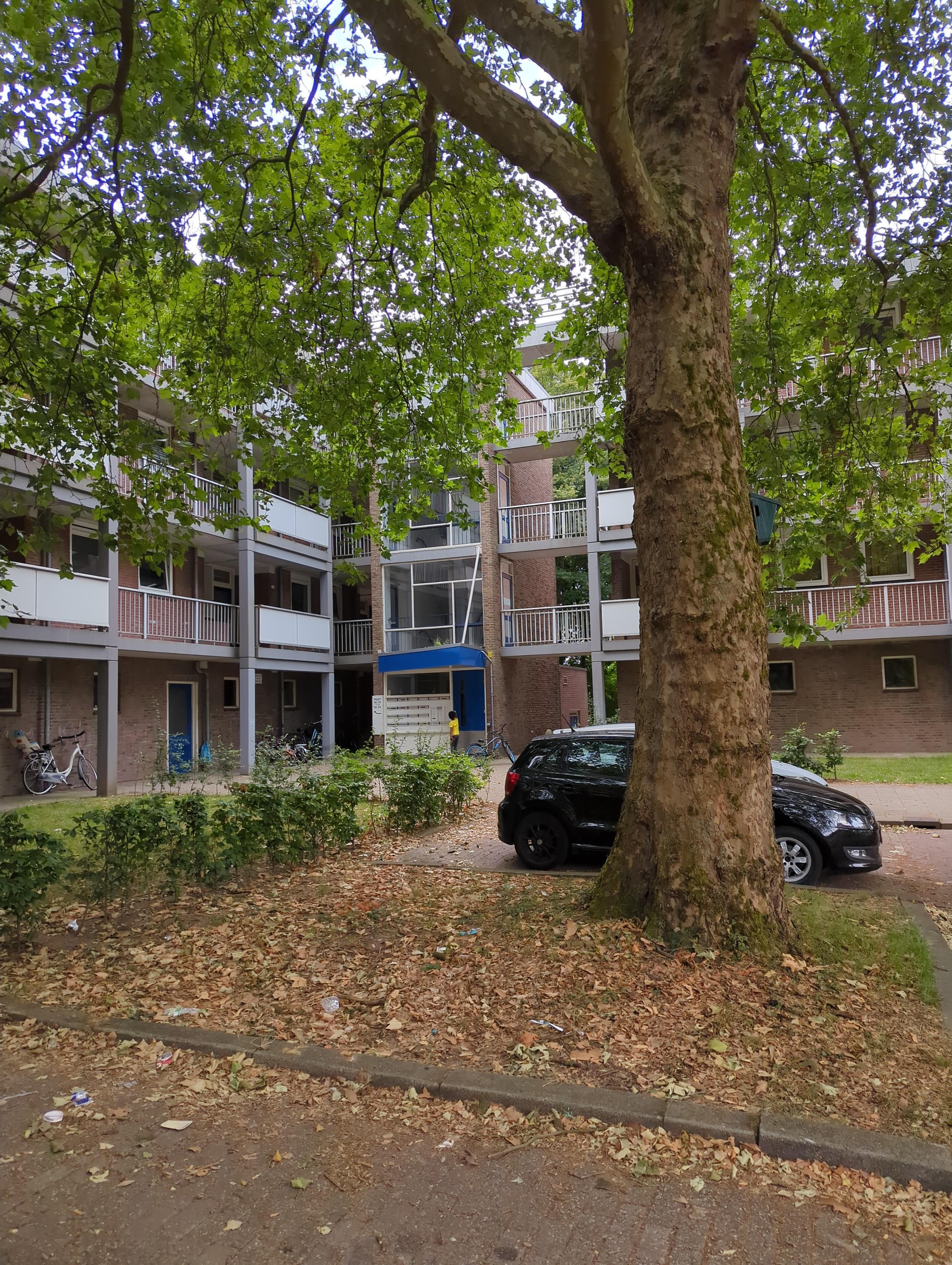 Engelenburgstraat 76, 6825 KN Arnhem, Nederland
