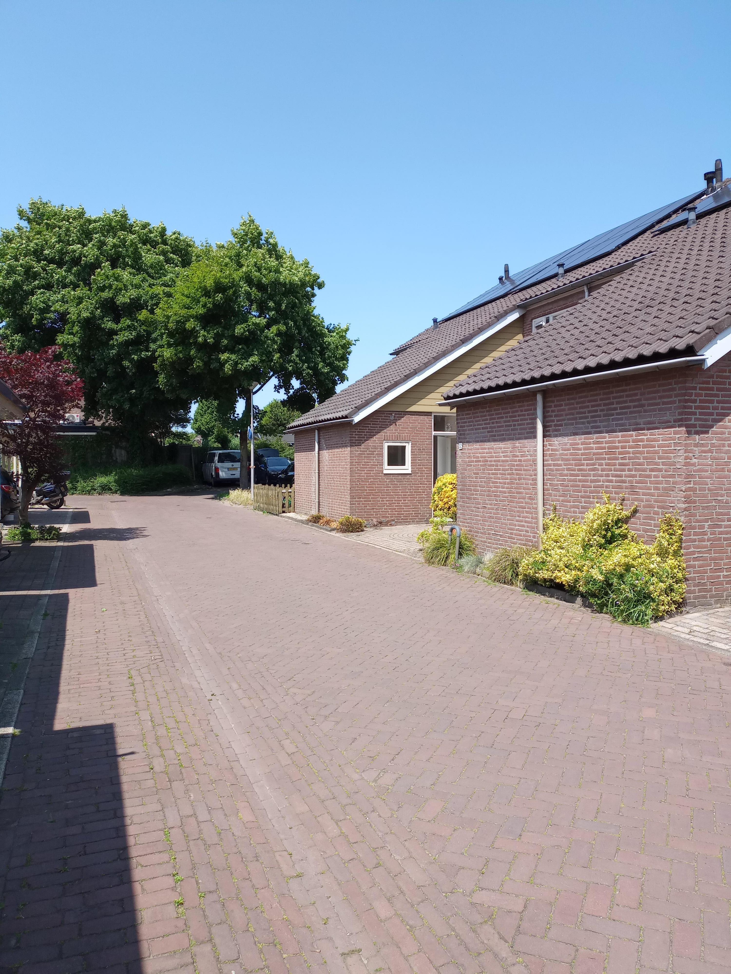 Esdoorndreef 54
