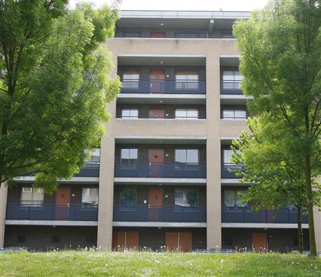 Le Mairehof 61