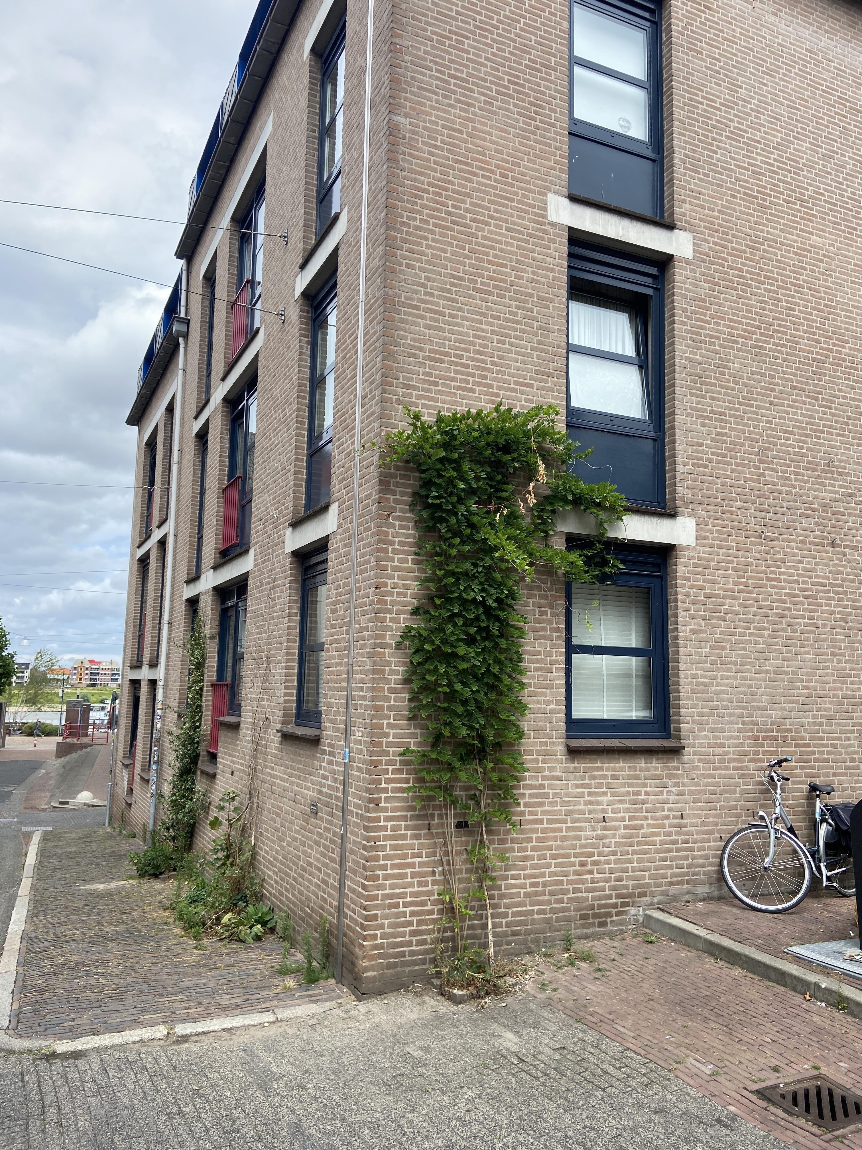Vleeshouwerstraat 33