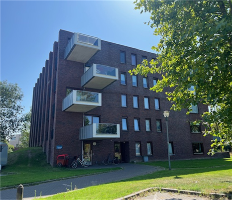 Boterbloem 17