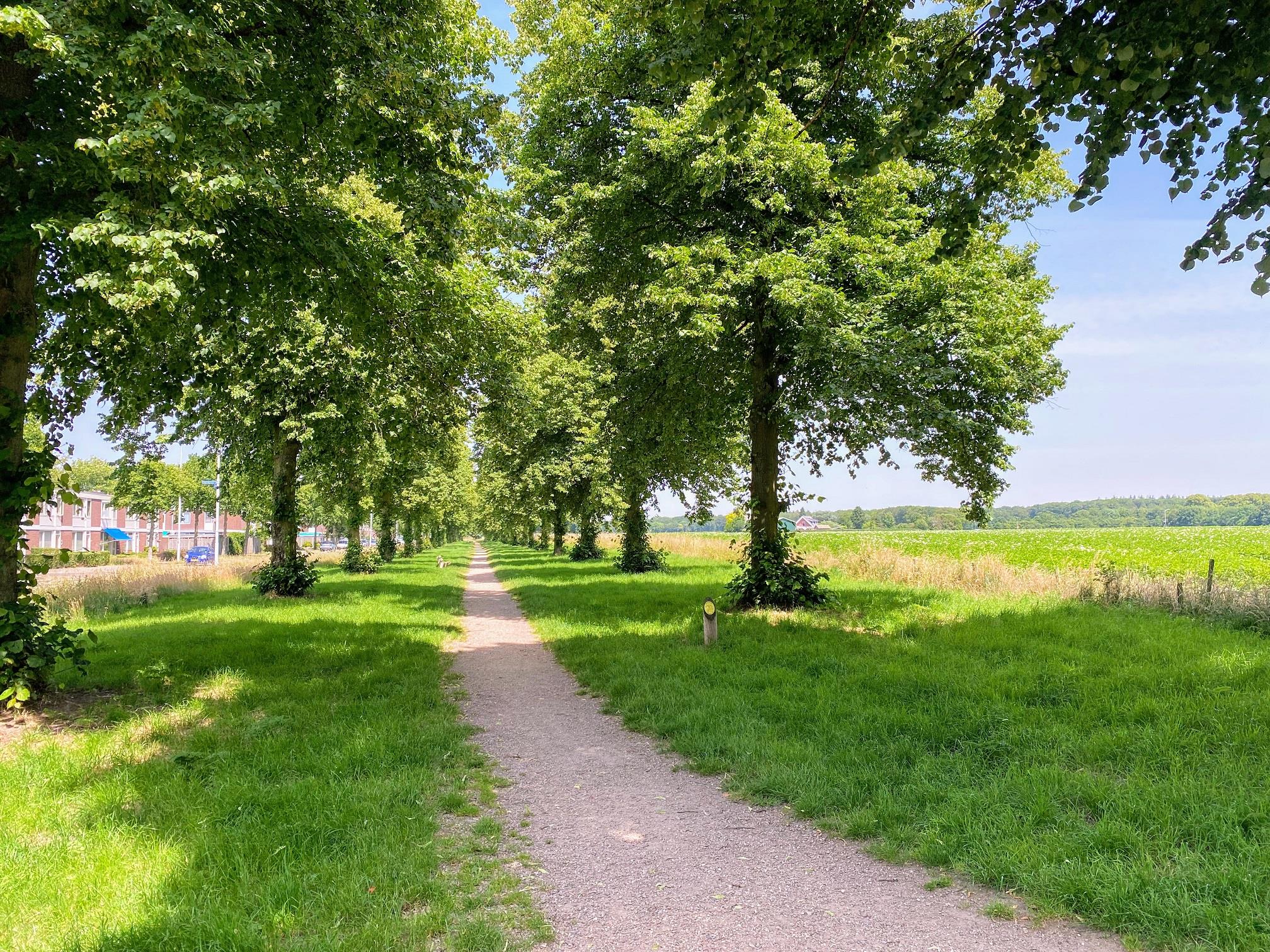 Malder-burchtstraat 558