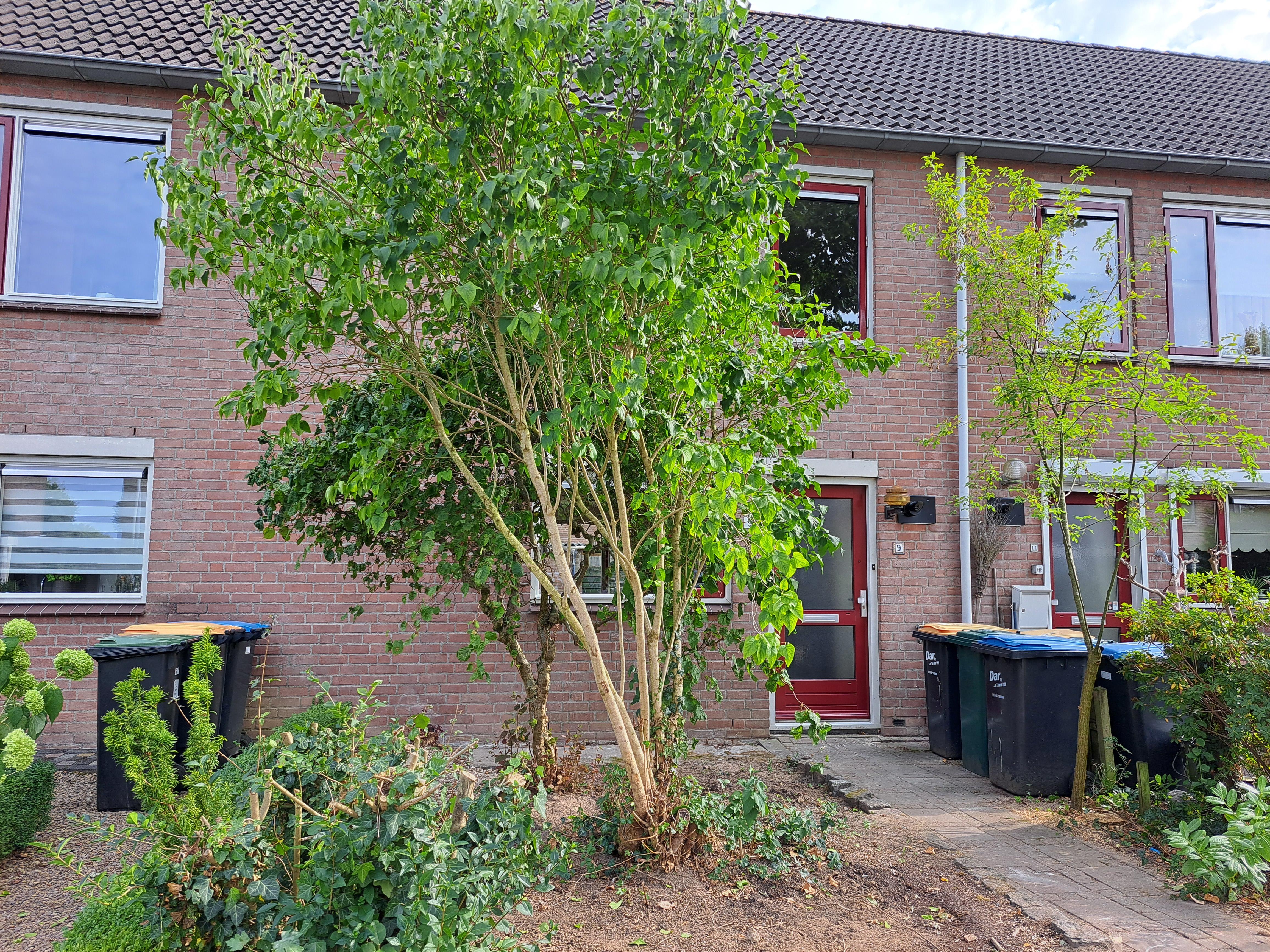 Duim 9, 6641 RA Beuningen, Nederland