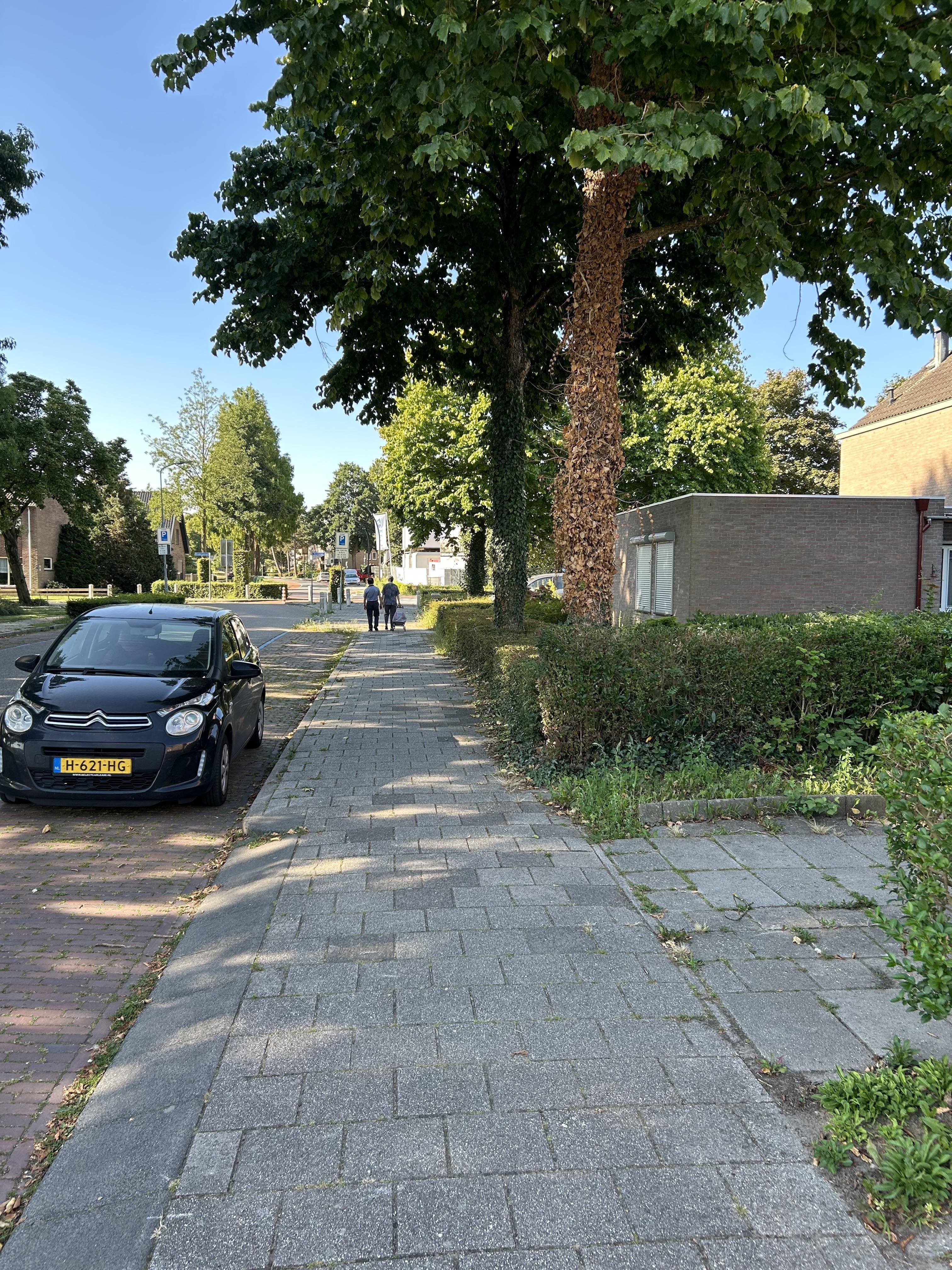 Didamseweg 15