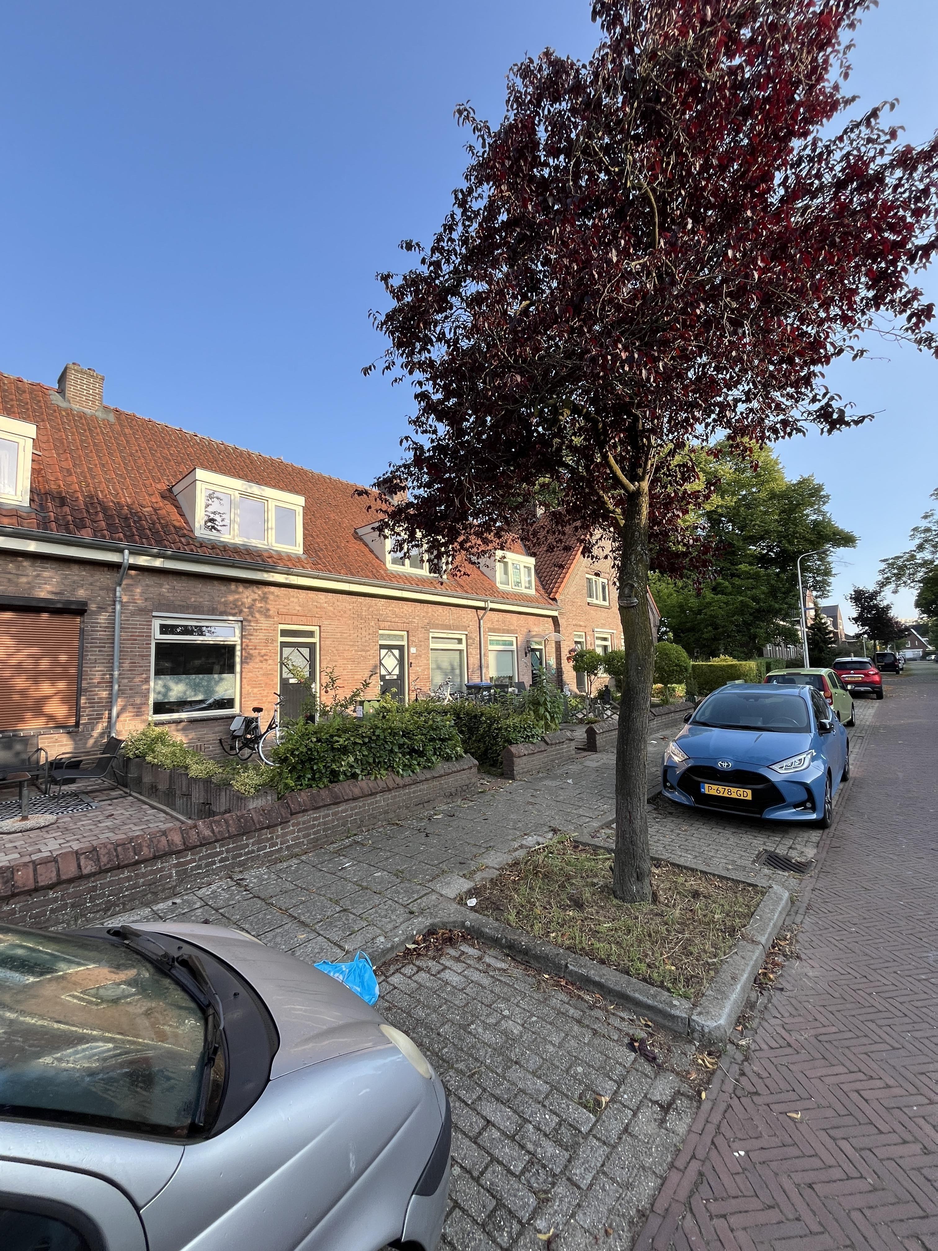 Hofdijkstraat 52