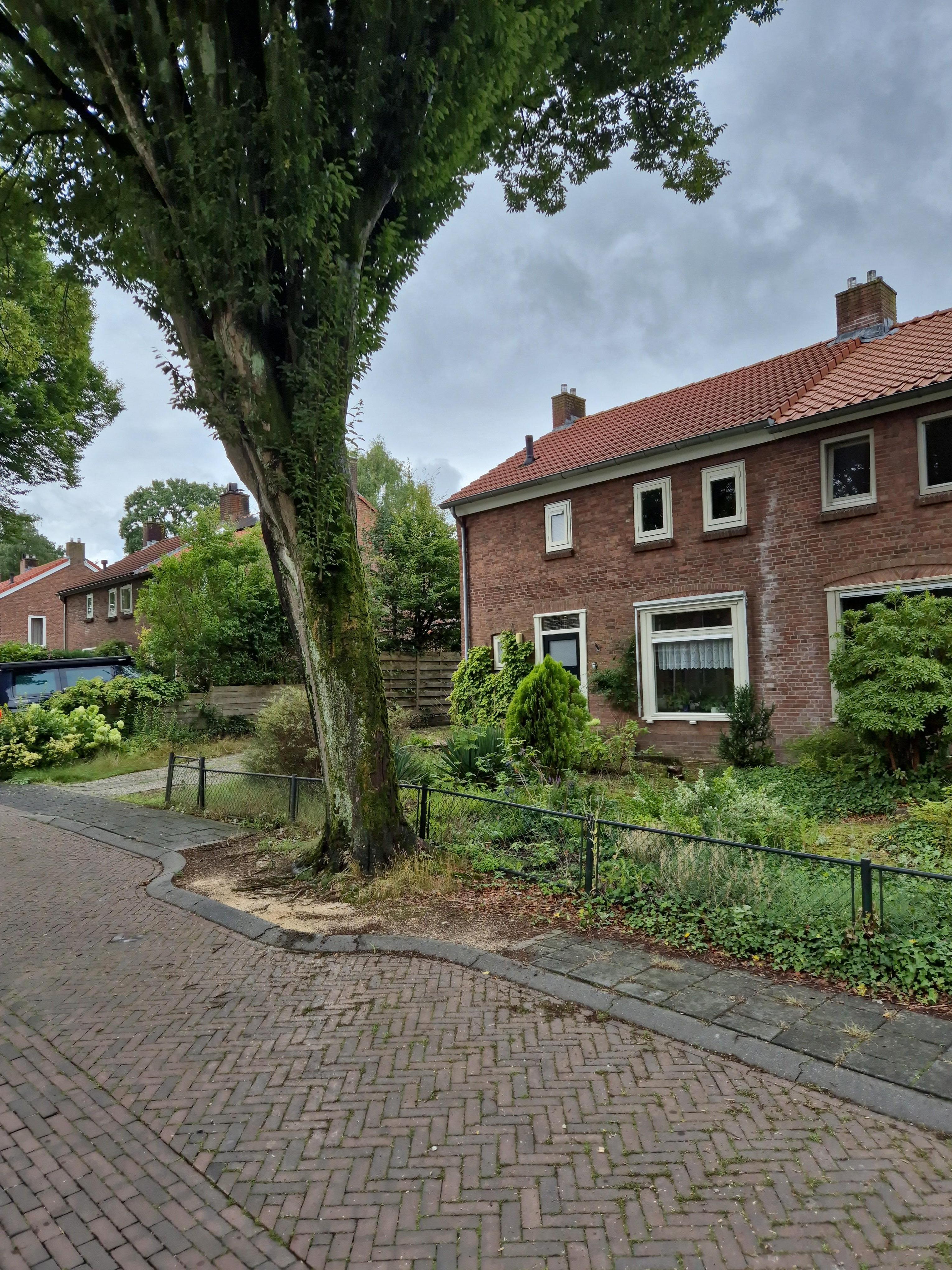 Cornelia Schadeweg 20