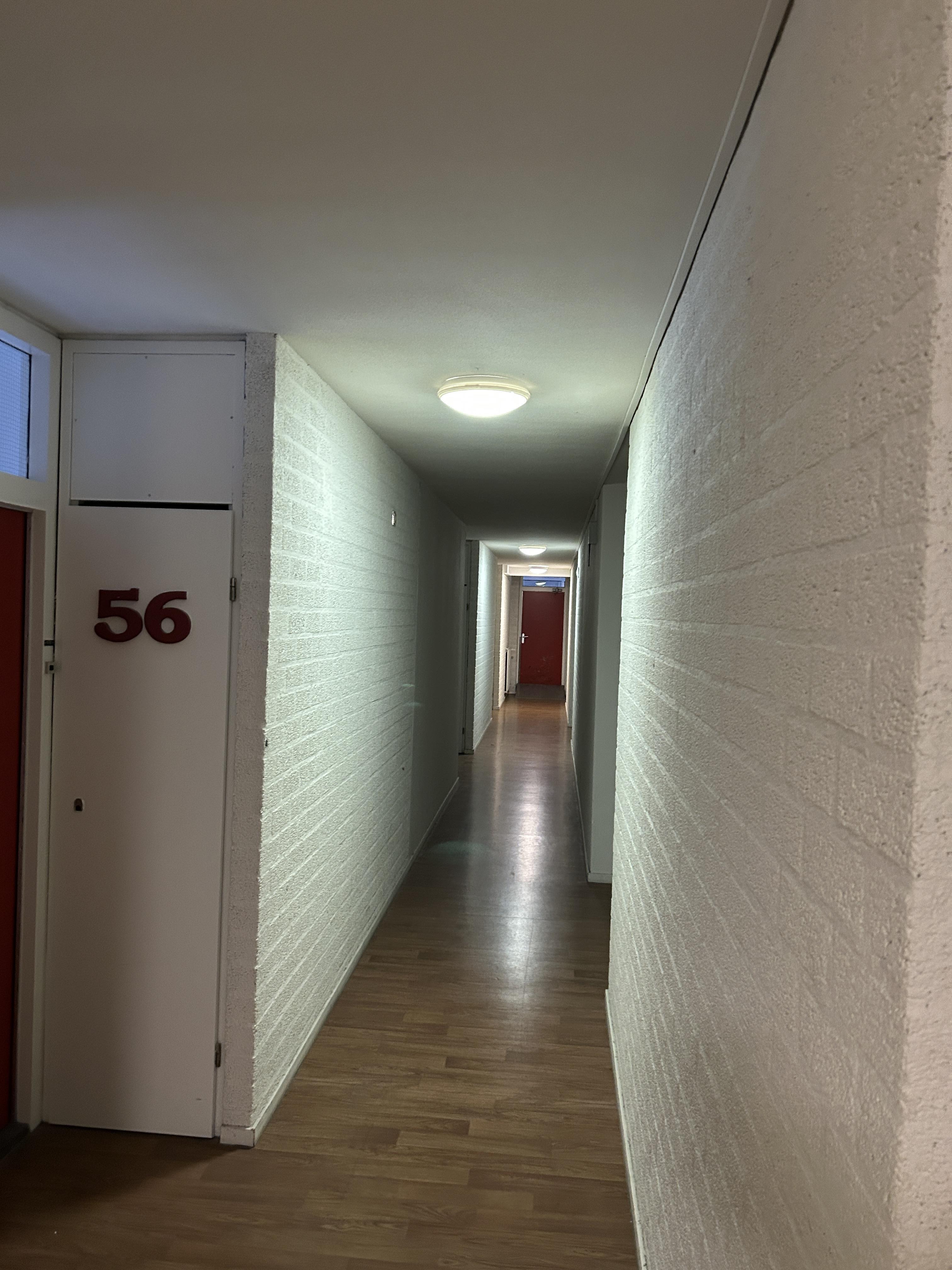 de Voorstenkamp 1956