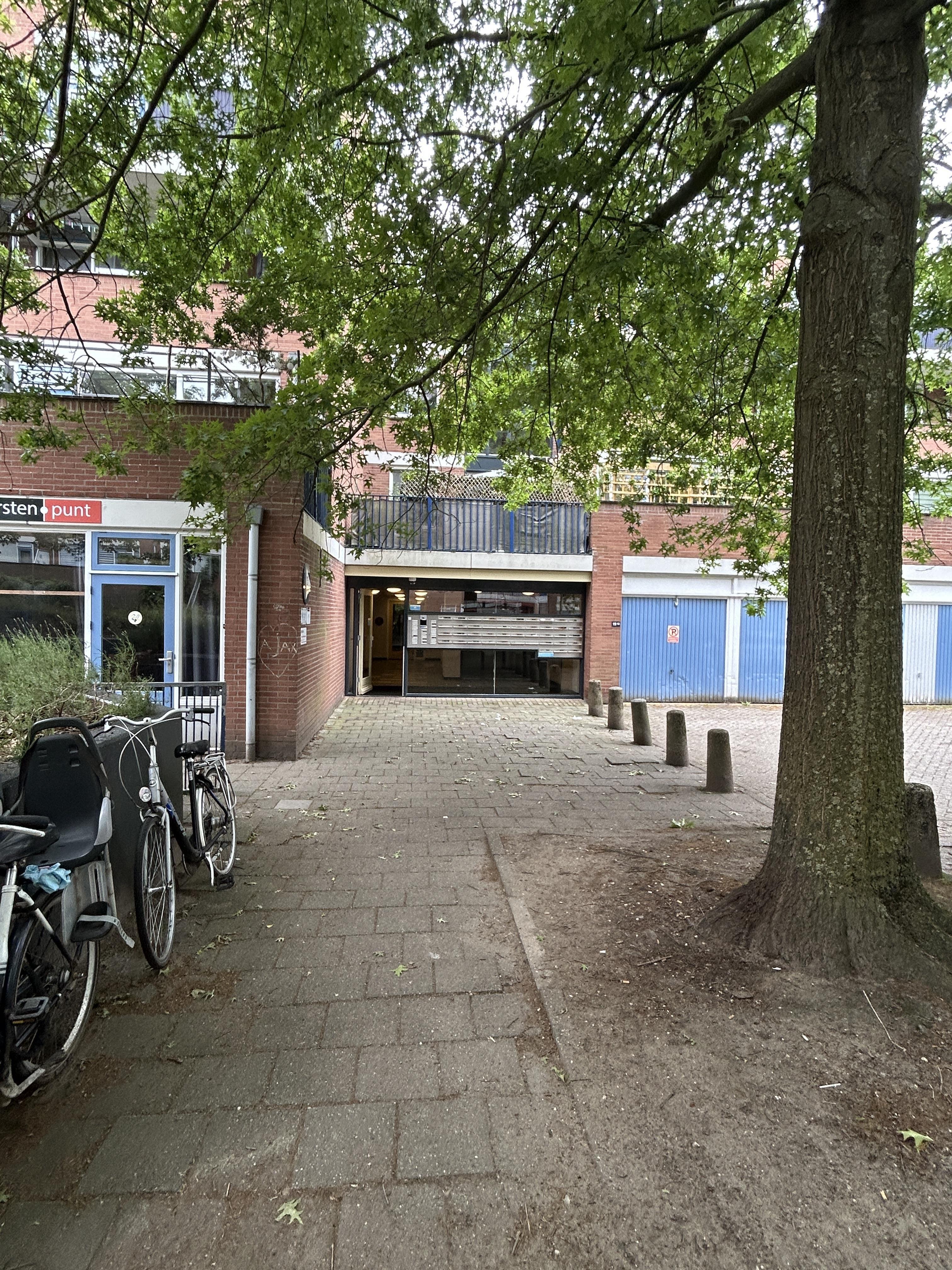 de Voorstenkamp 1956