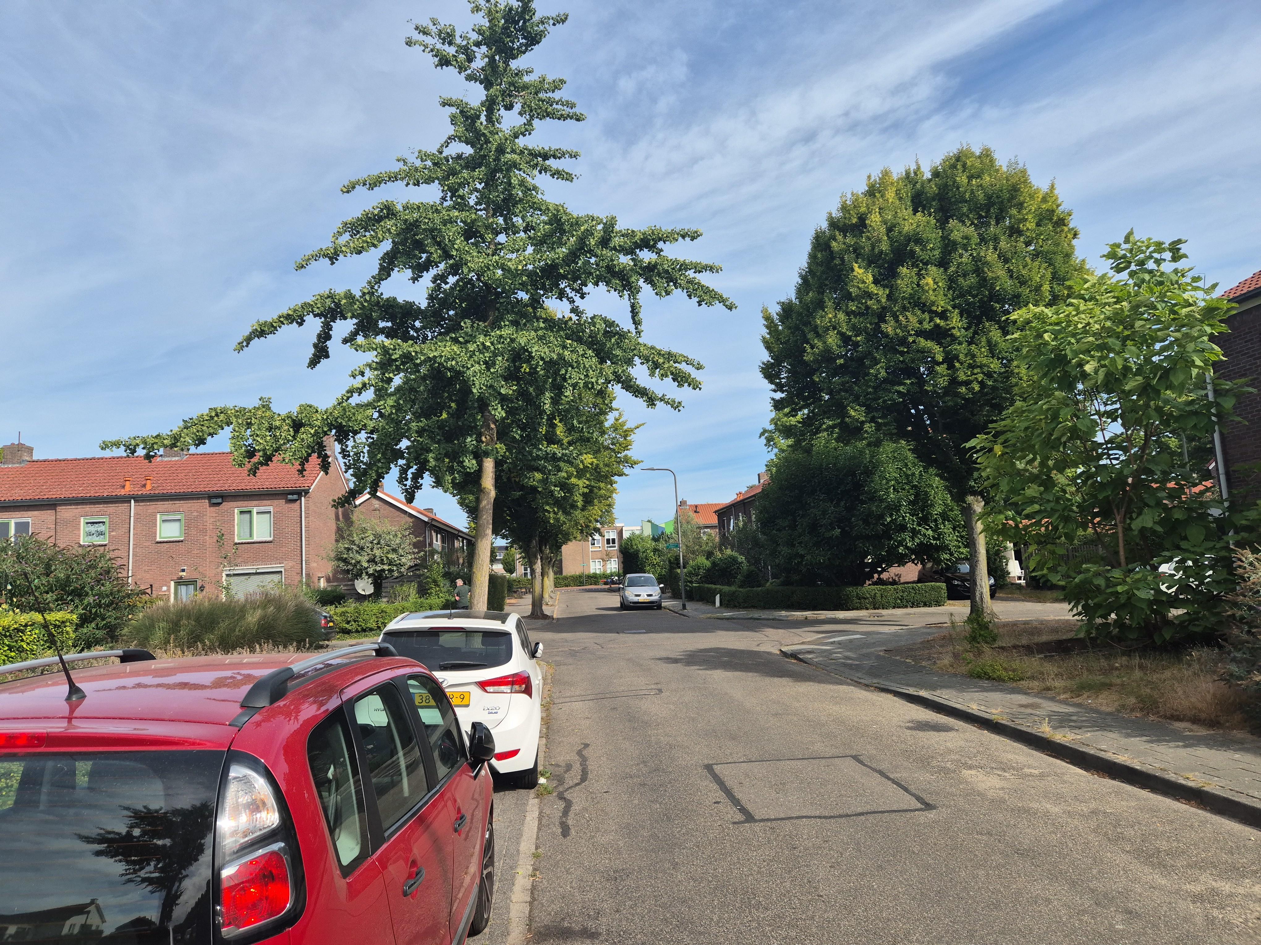 Doctor Schaepmanstraat 49