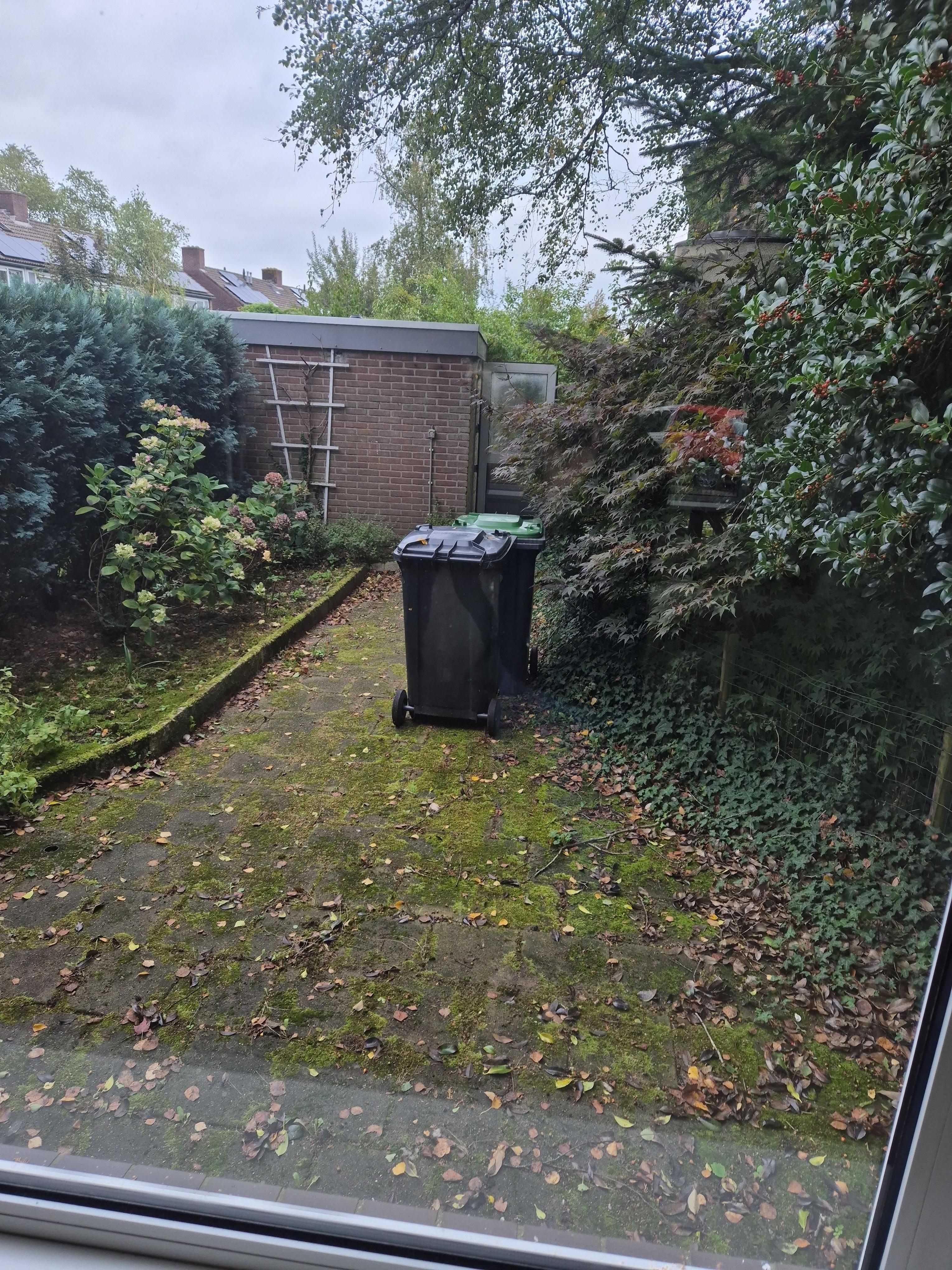 Eduard van Beinumlaan 36