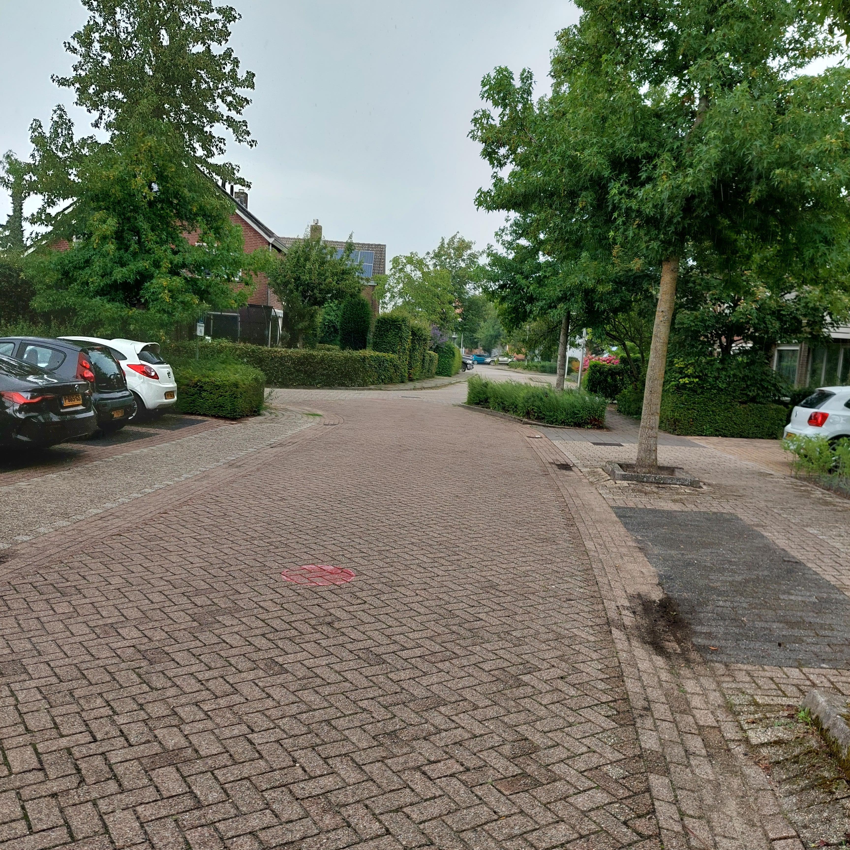 Wilhelminastraat 44A