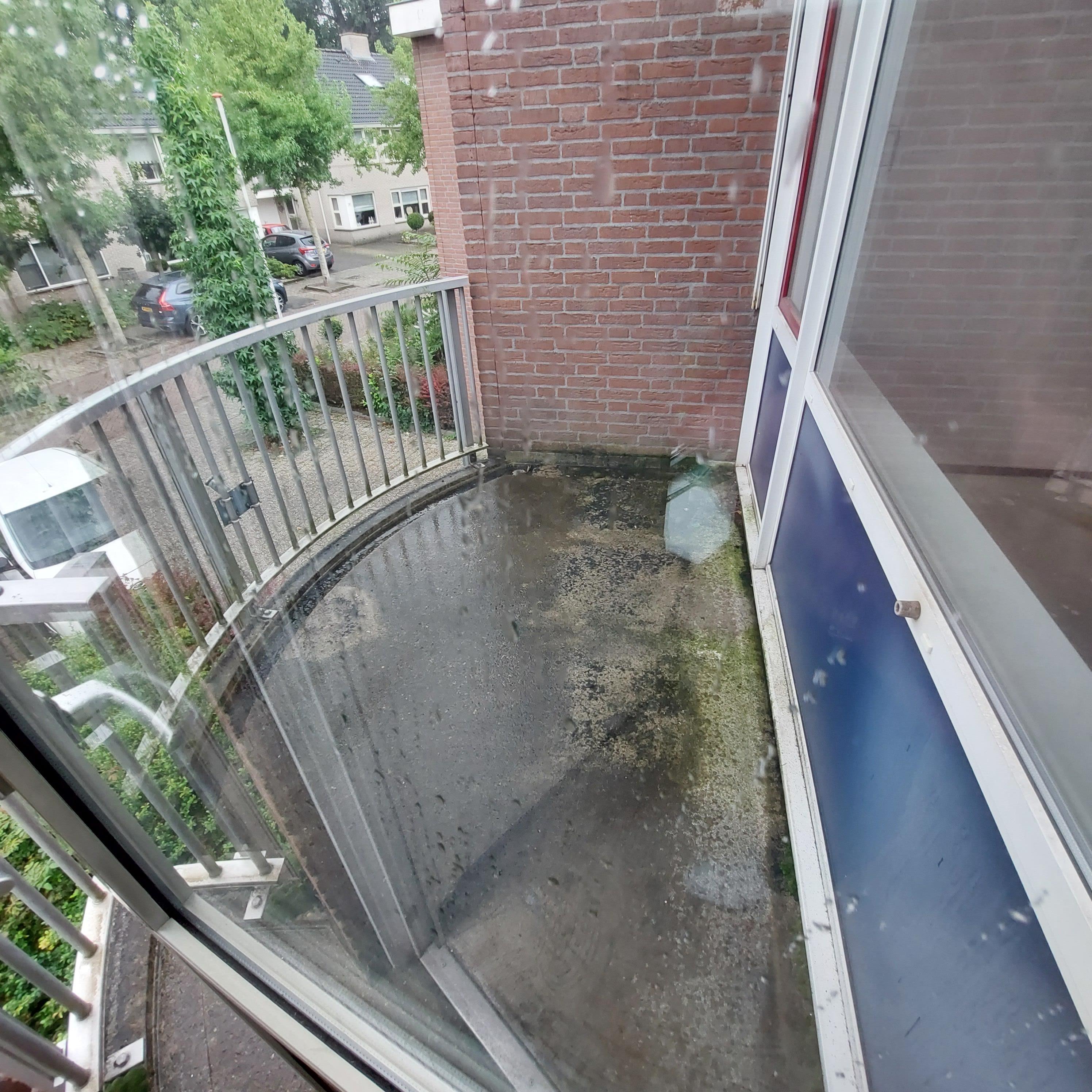 Wilhelminastraat 44A