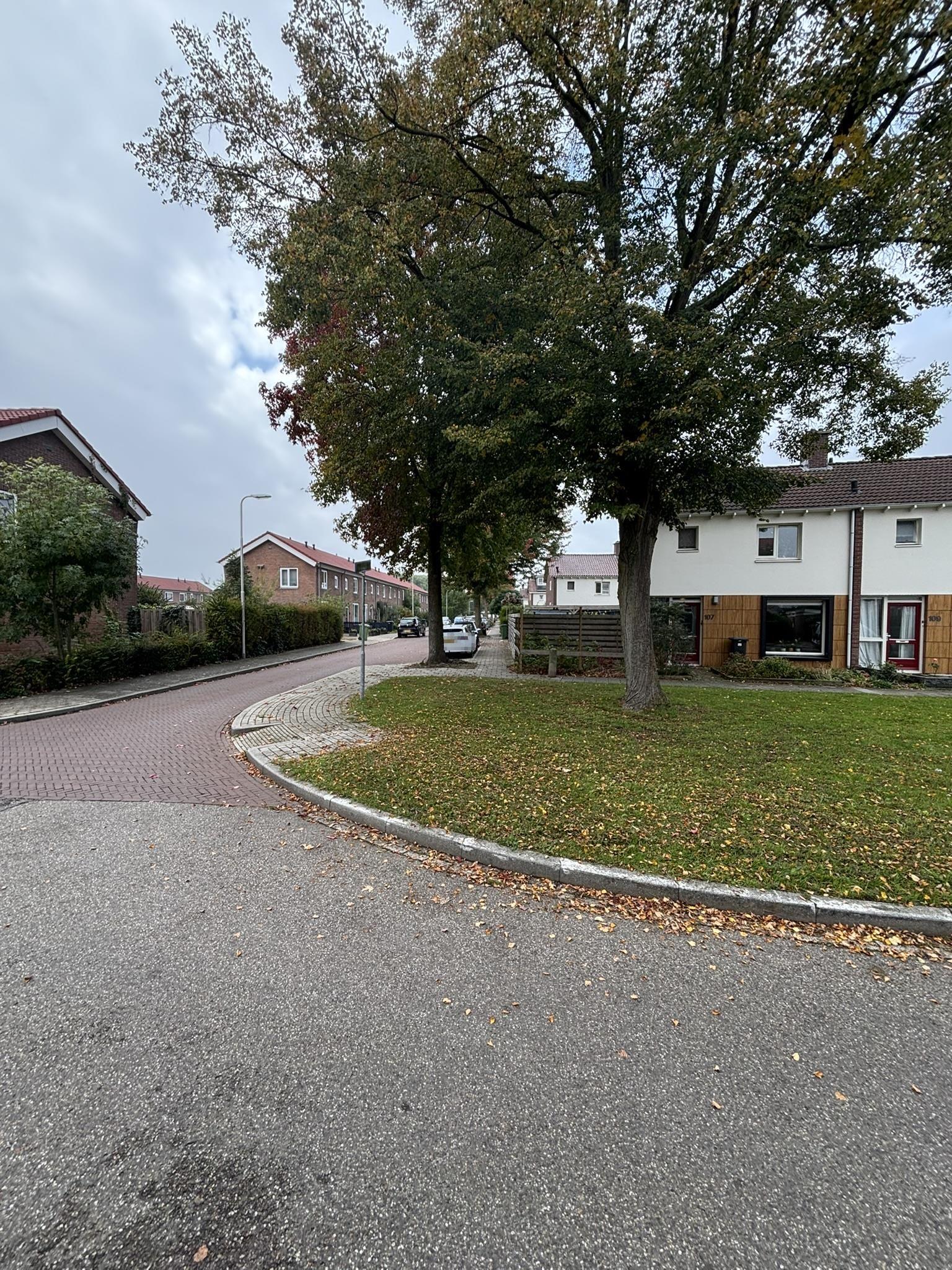 Koningin Wilhelminastraat 38