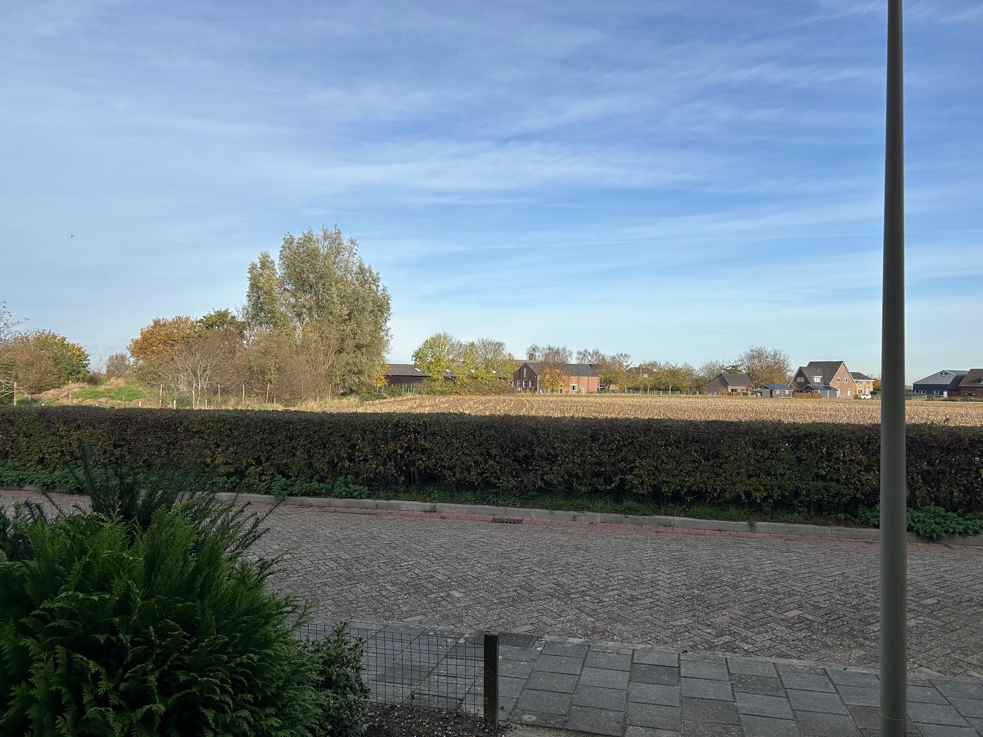 Pinksterbloemstraat 14