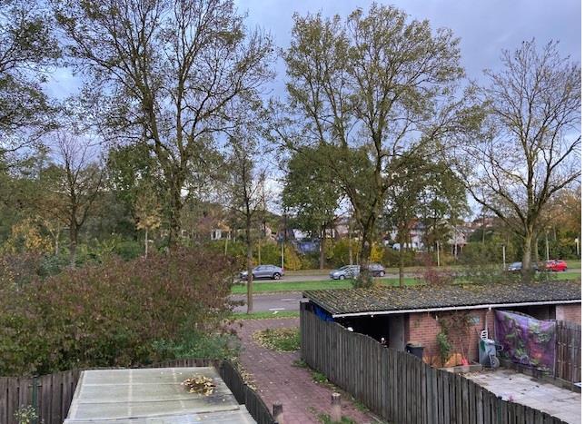 de Voorstenkamp 1361