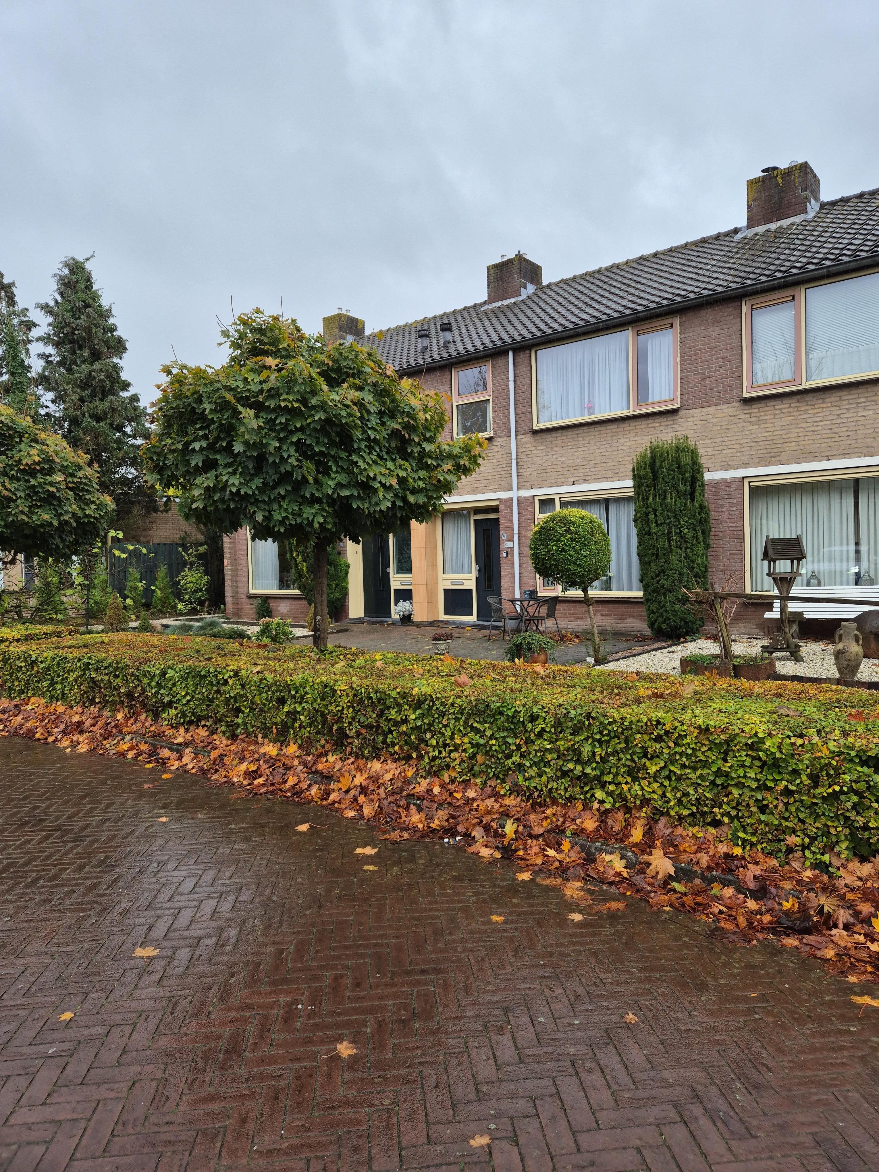 Anna Paulownastraat 13