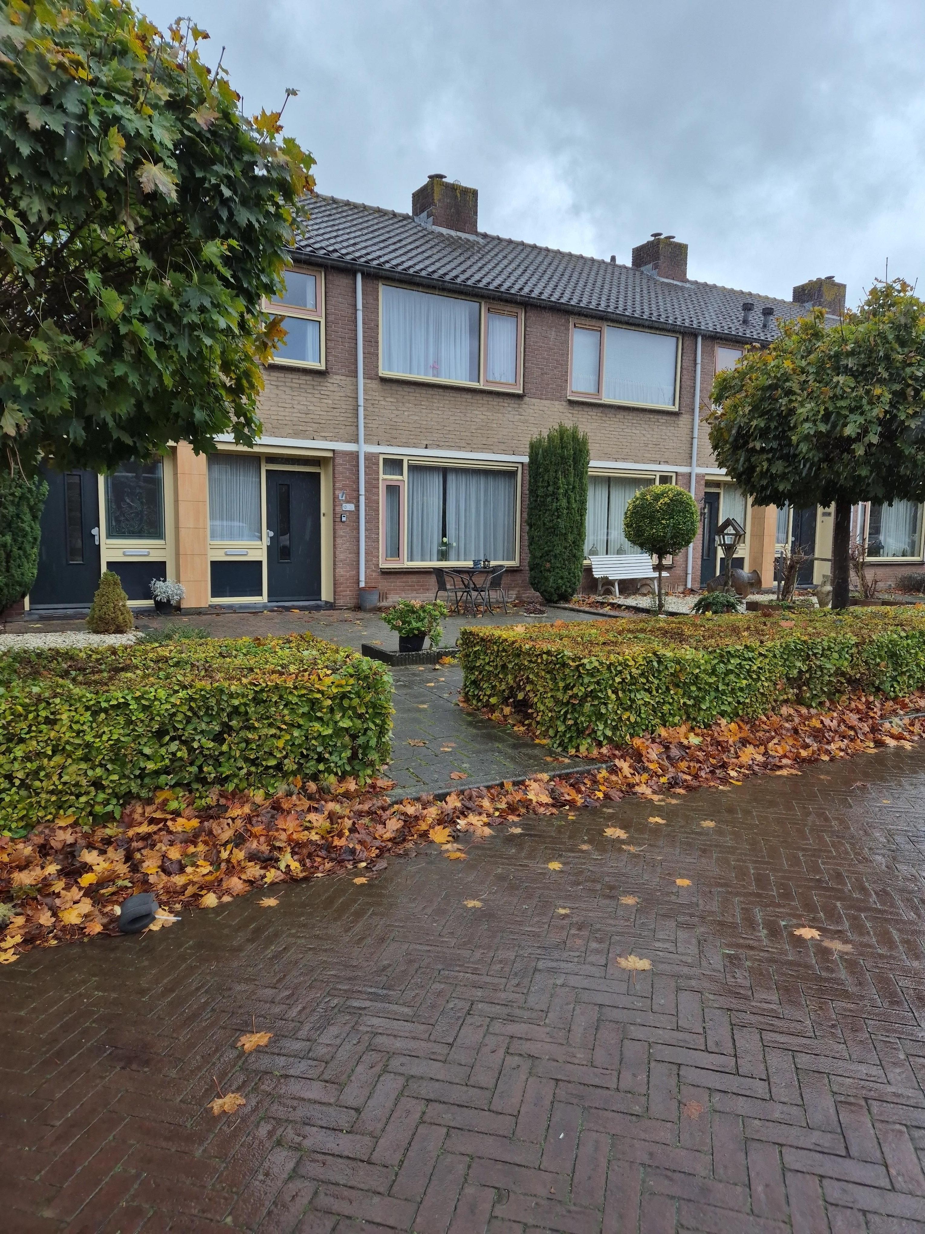 Anna Paulownastraat 13