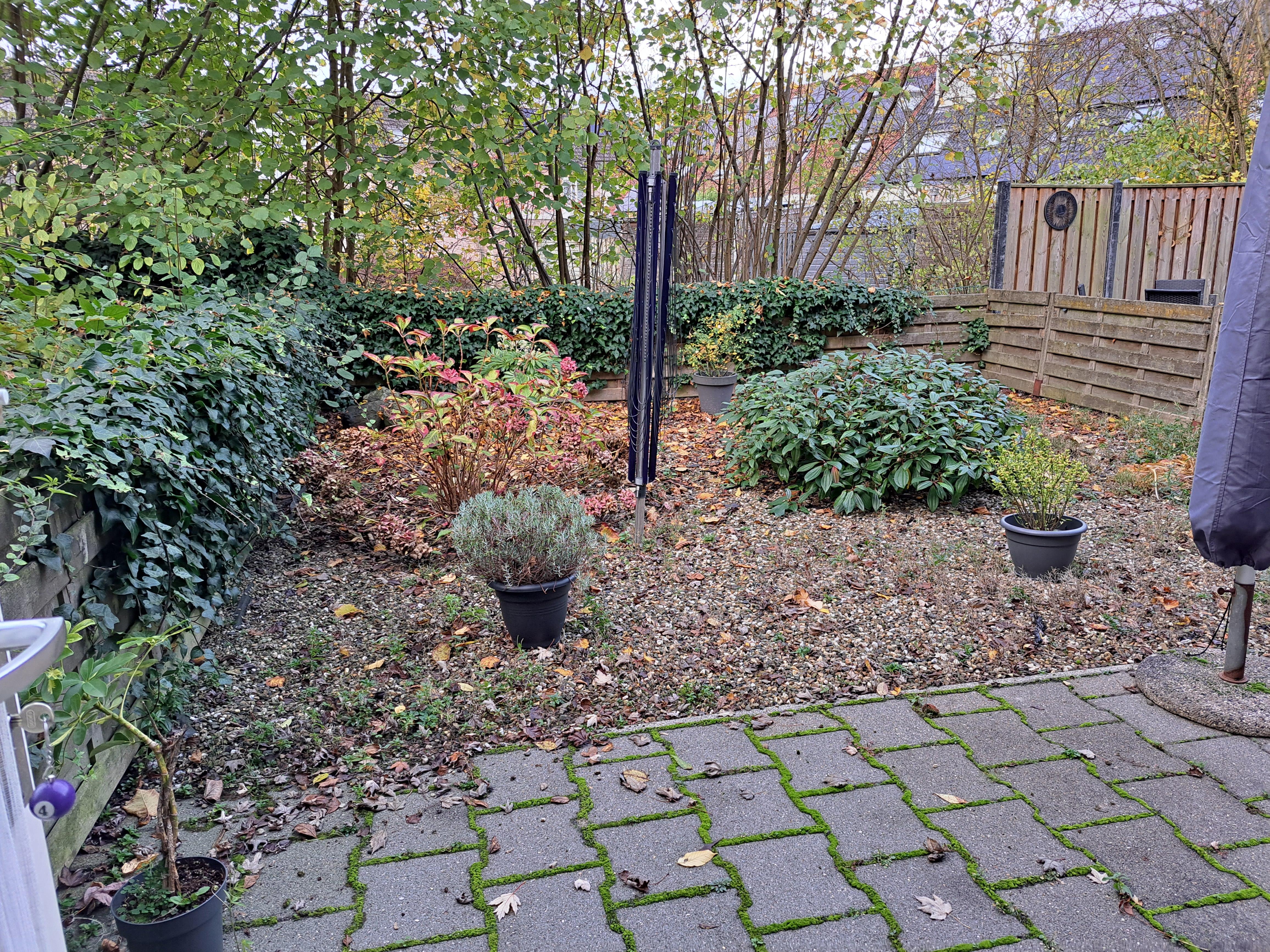 Ridderspoor 21, 6641 HH Beuningen, Nederland