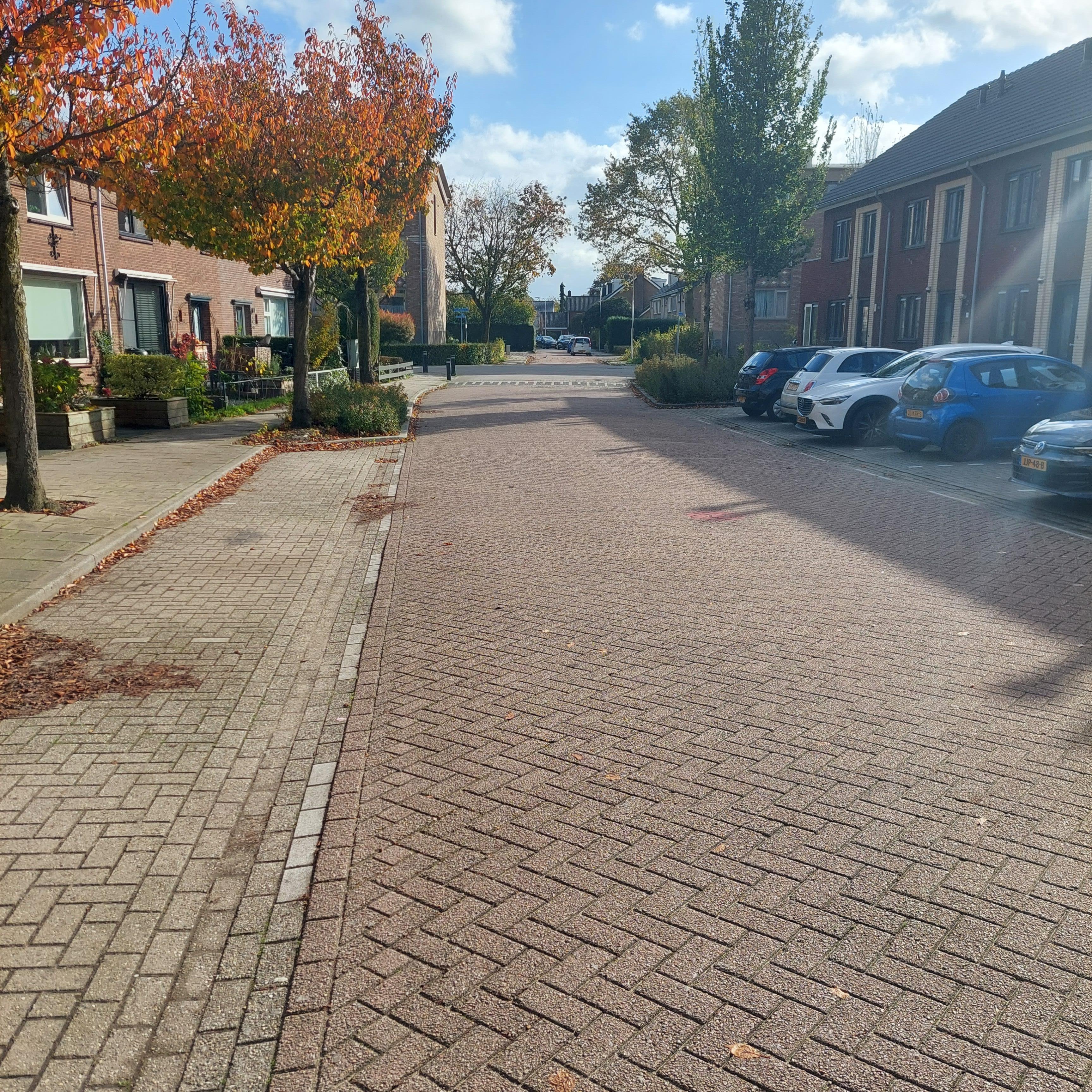 Van Kleefplein 11a