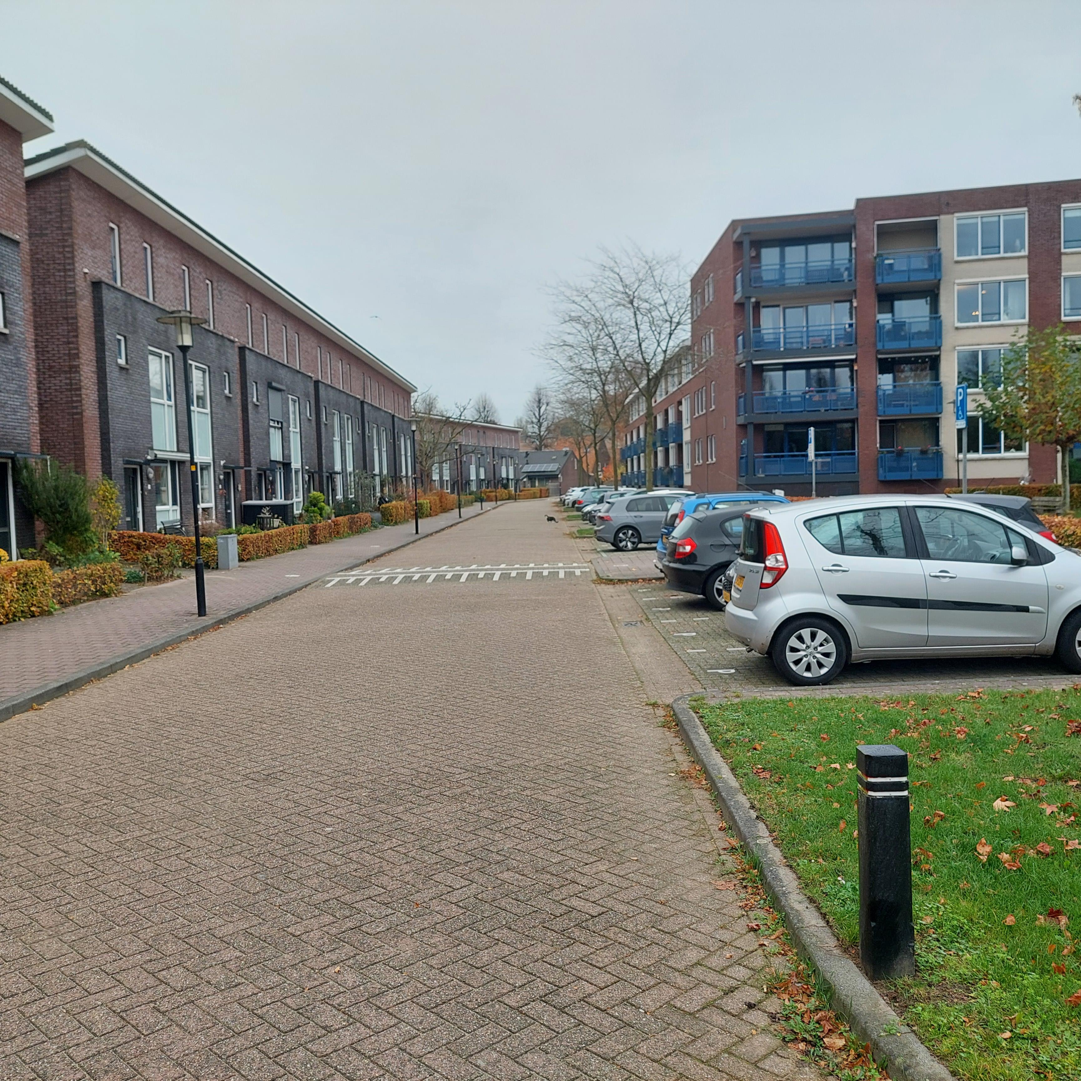 Doctor Ariënsstraat 46