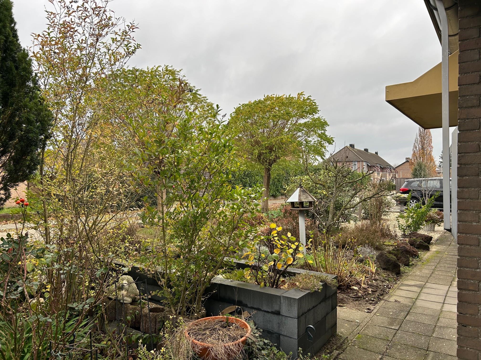 P. van Kuppenveldstraat 5