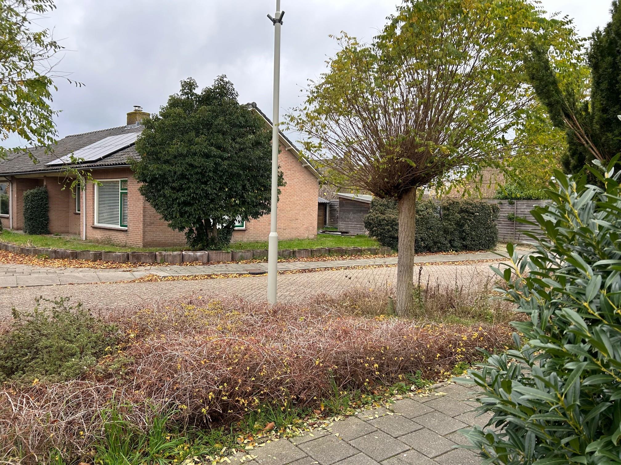 P. van Kuppenveldstraat 5