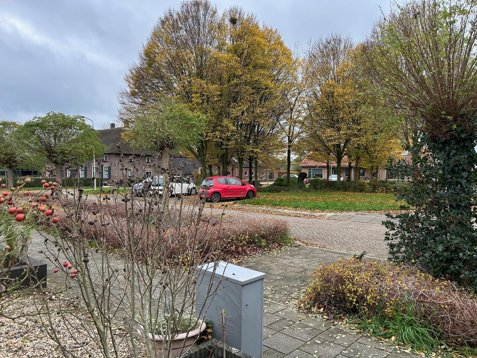 P. van Kuppenveldstraat 5