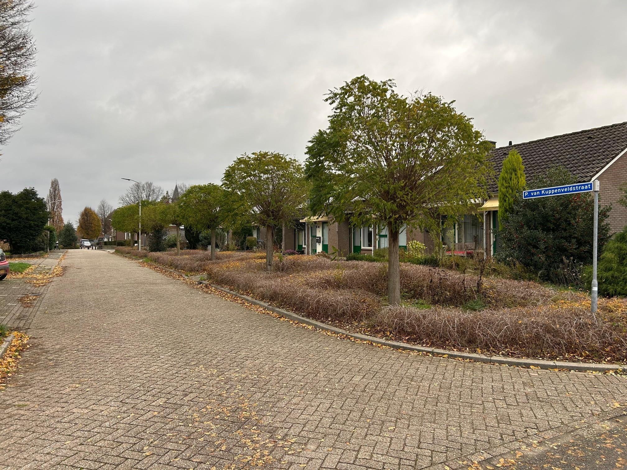 P. van Kuppenveldstraat 5