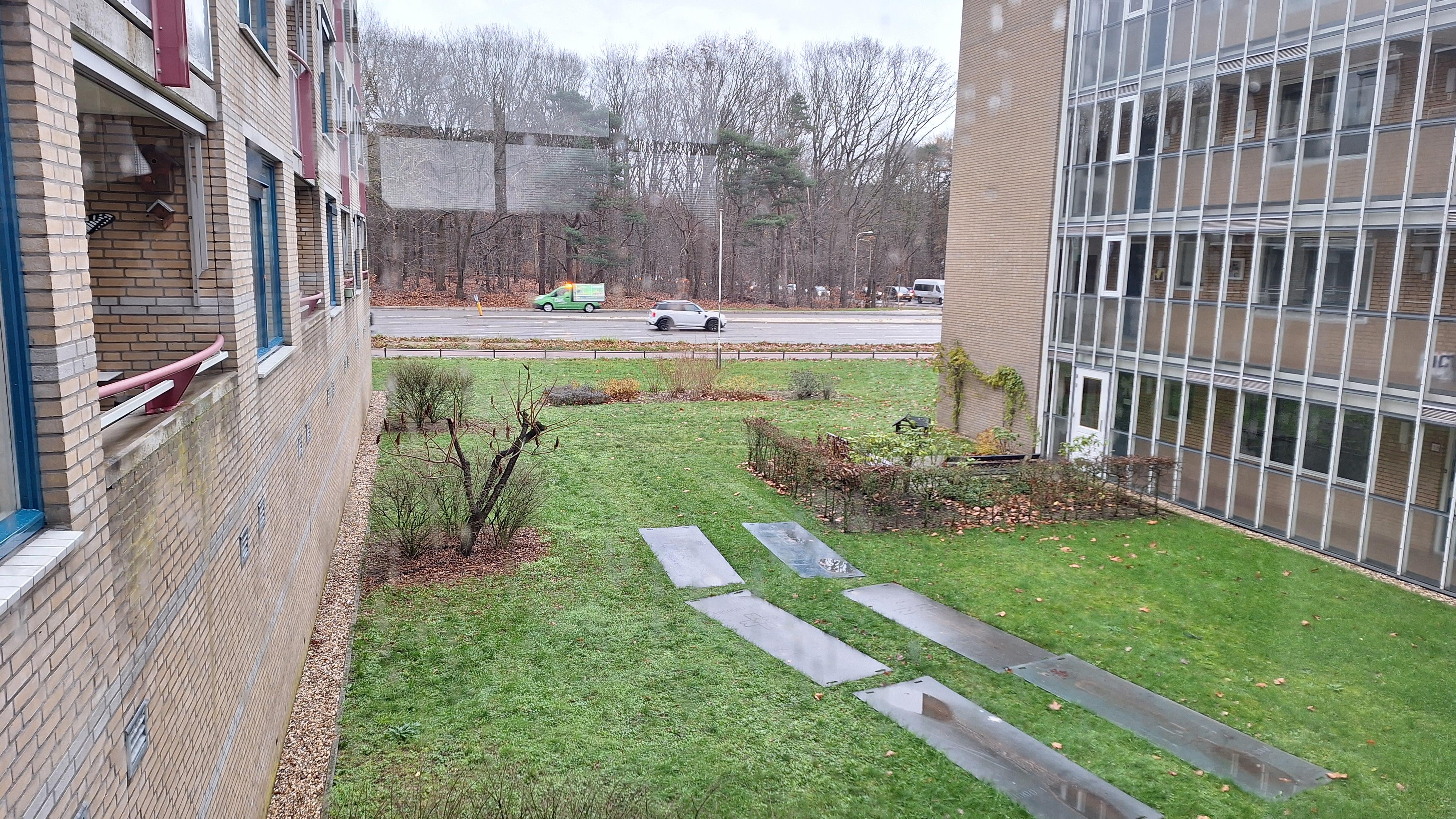 Van Het Hoffplantsoen 45