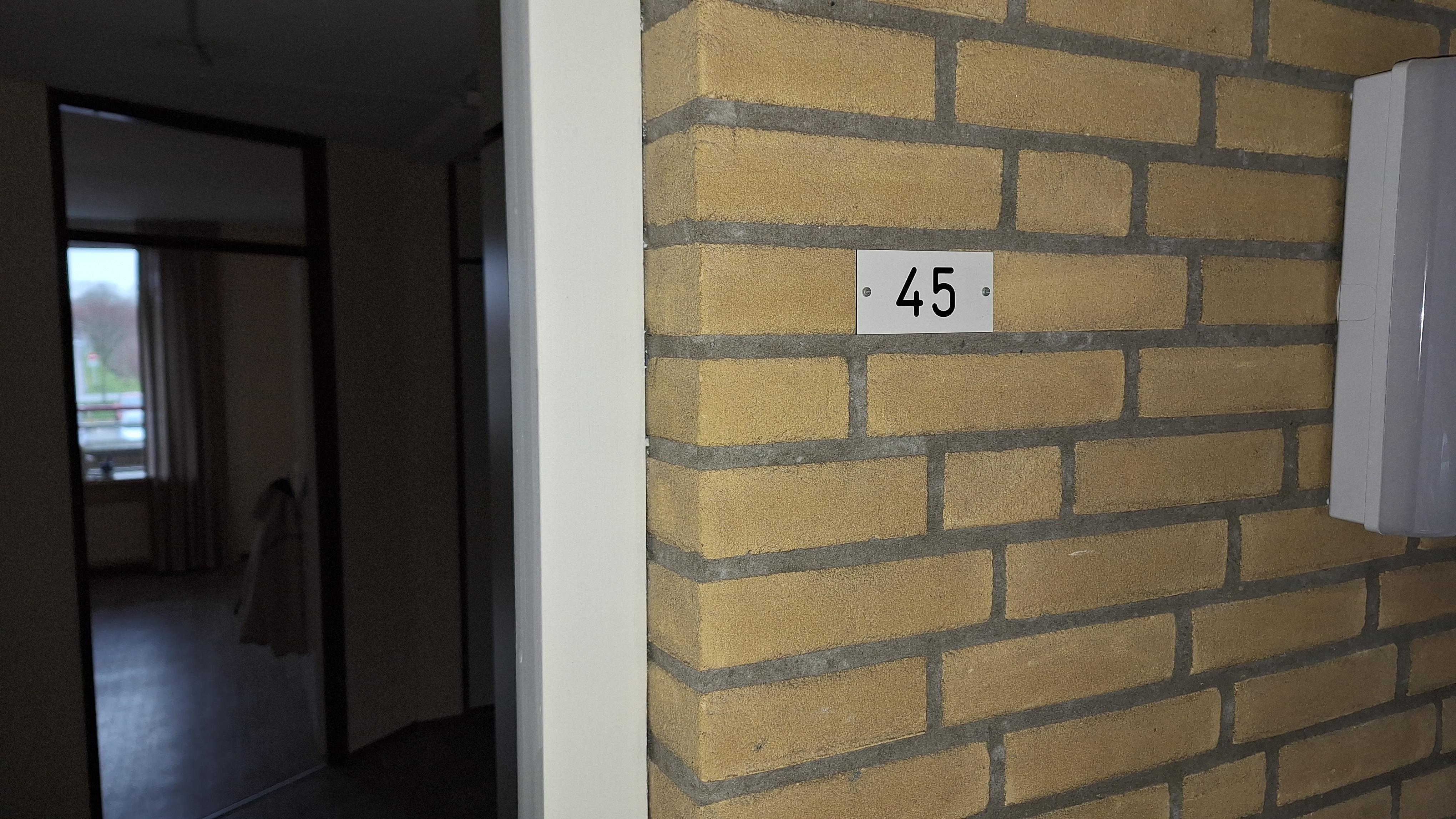 Van Het Hoffplantsoen 45