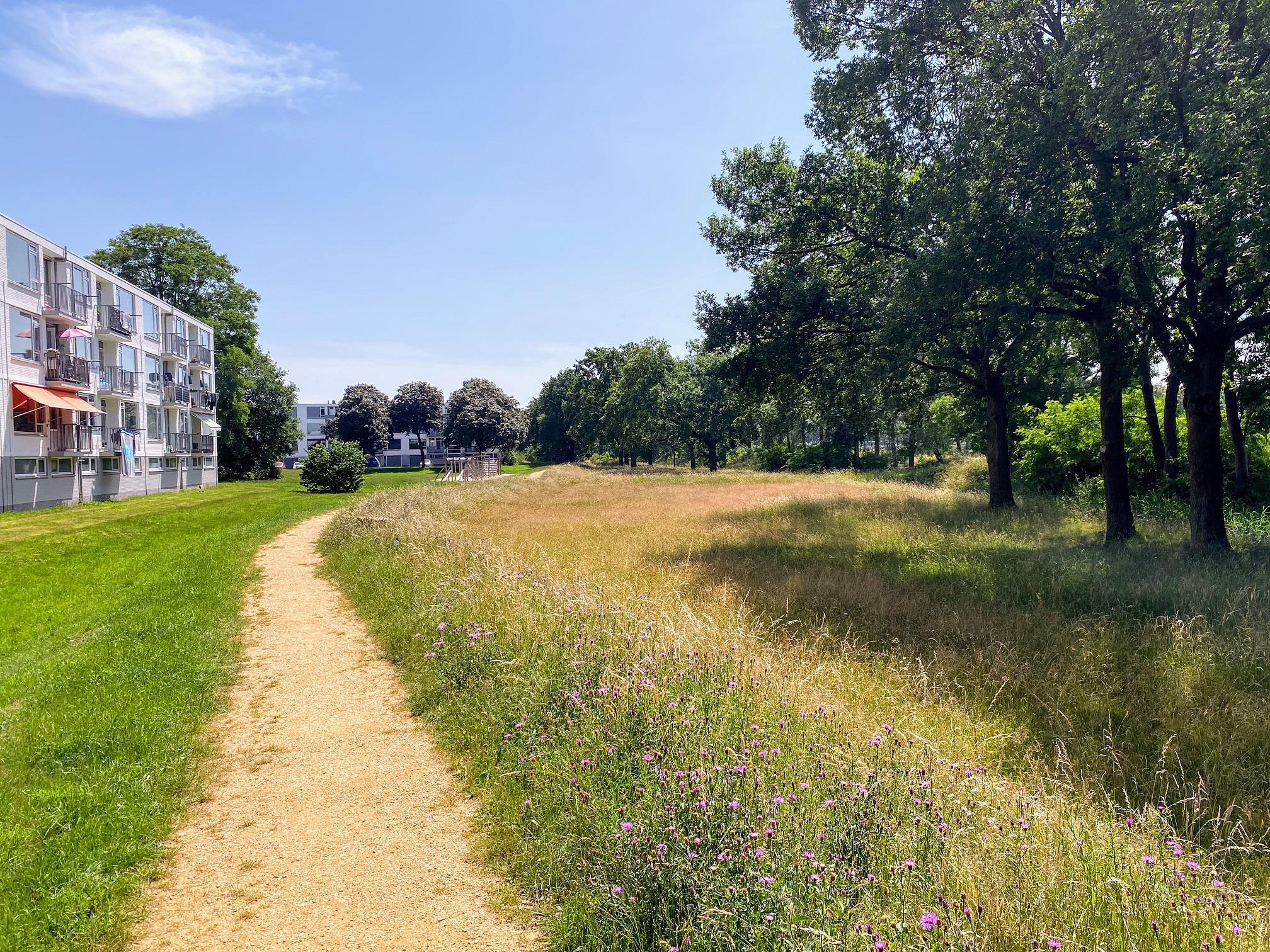 Middachtenstraat 425