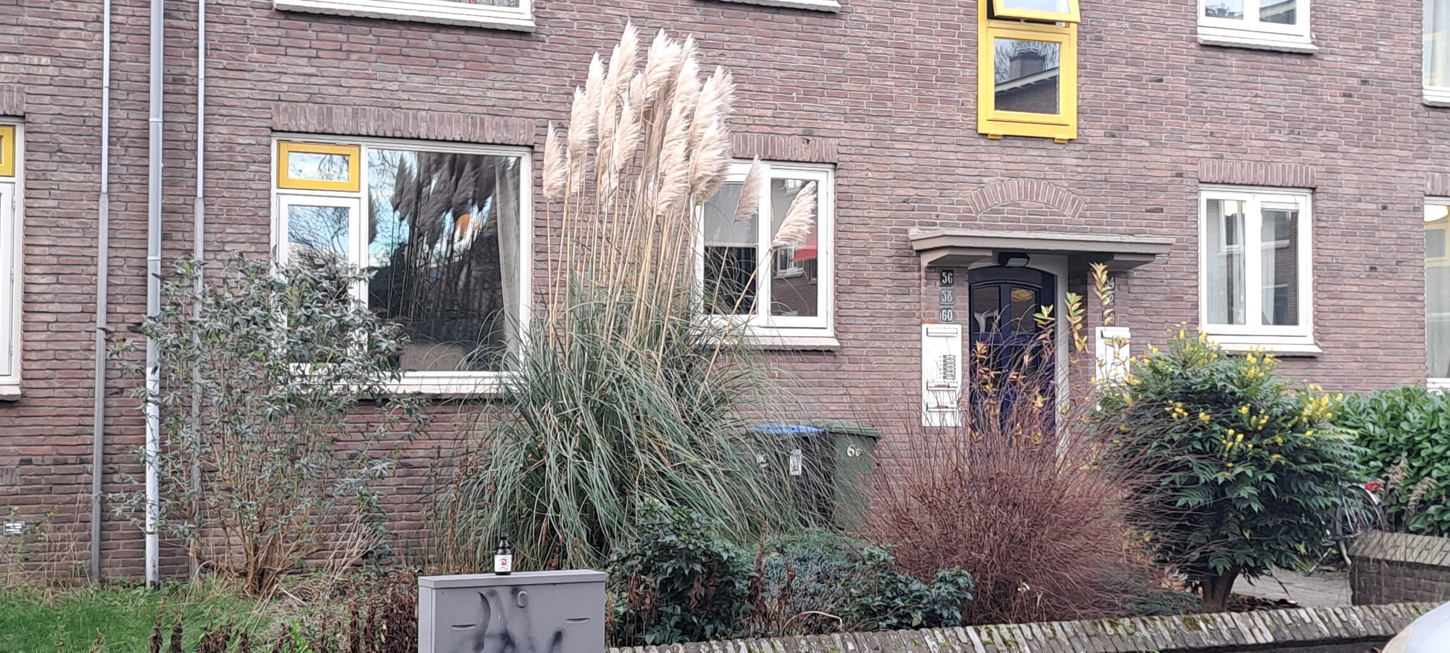 Cipresstraat 60
