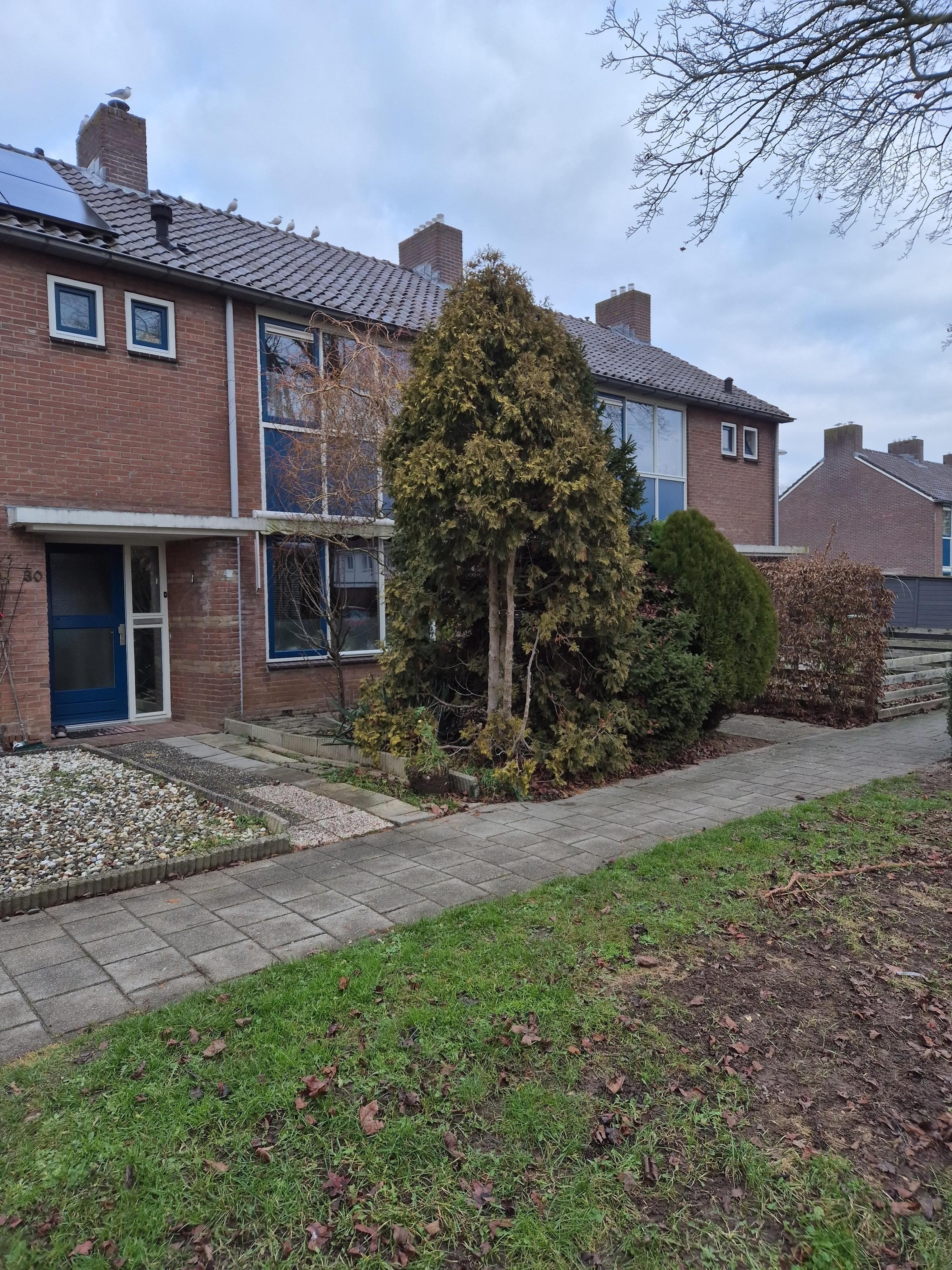 Louise de Colignystraat 28