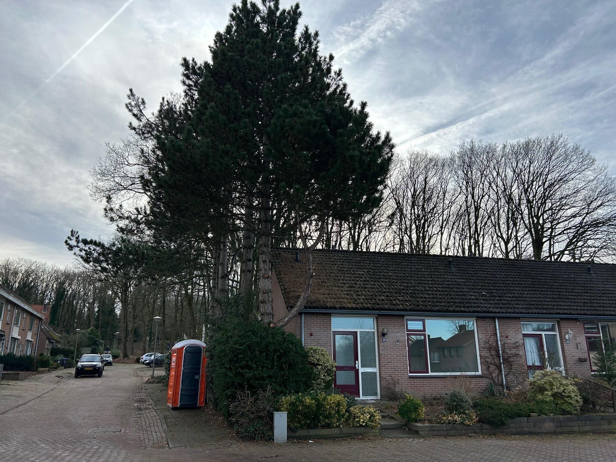 Simonlaan 24, 6564 BB Heilig Landstichting, Nederland