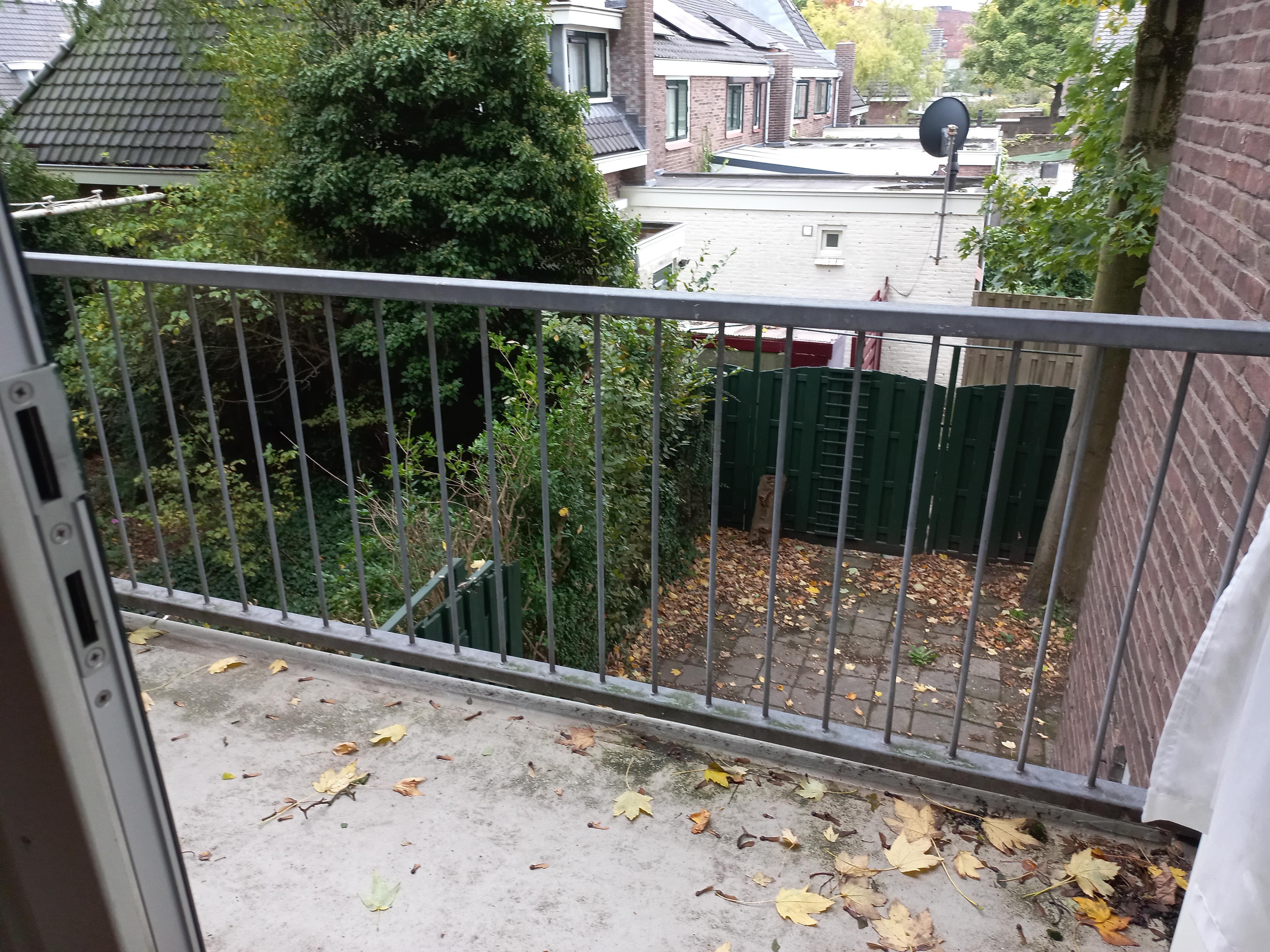 Van 't Sant-straat 116