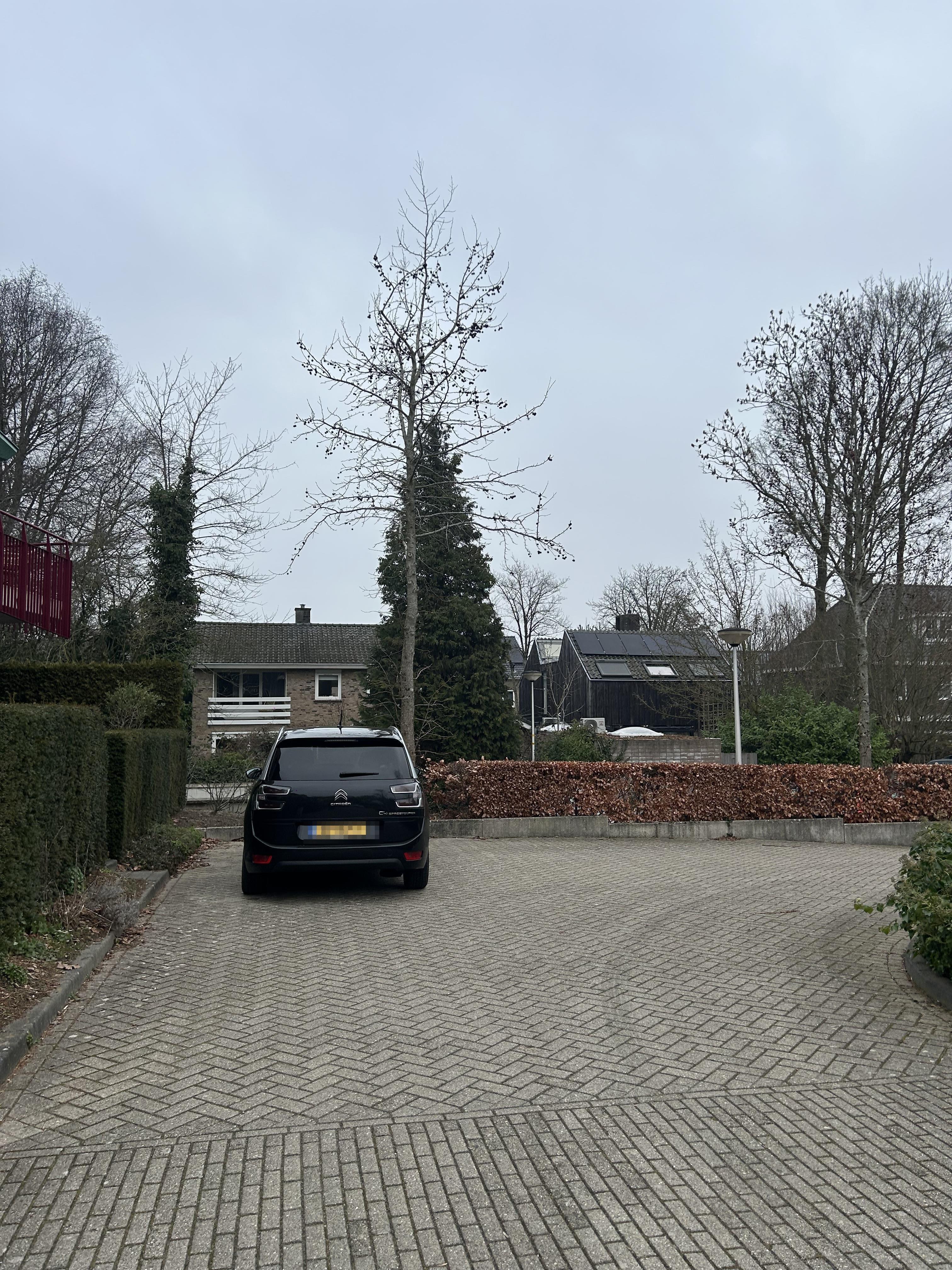 Van Hasseltstraat 27