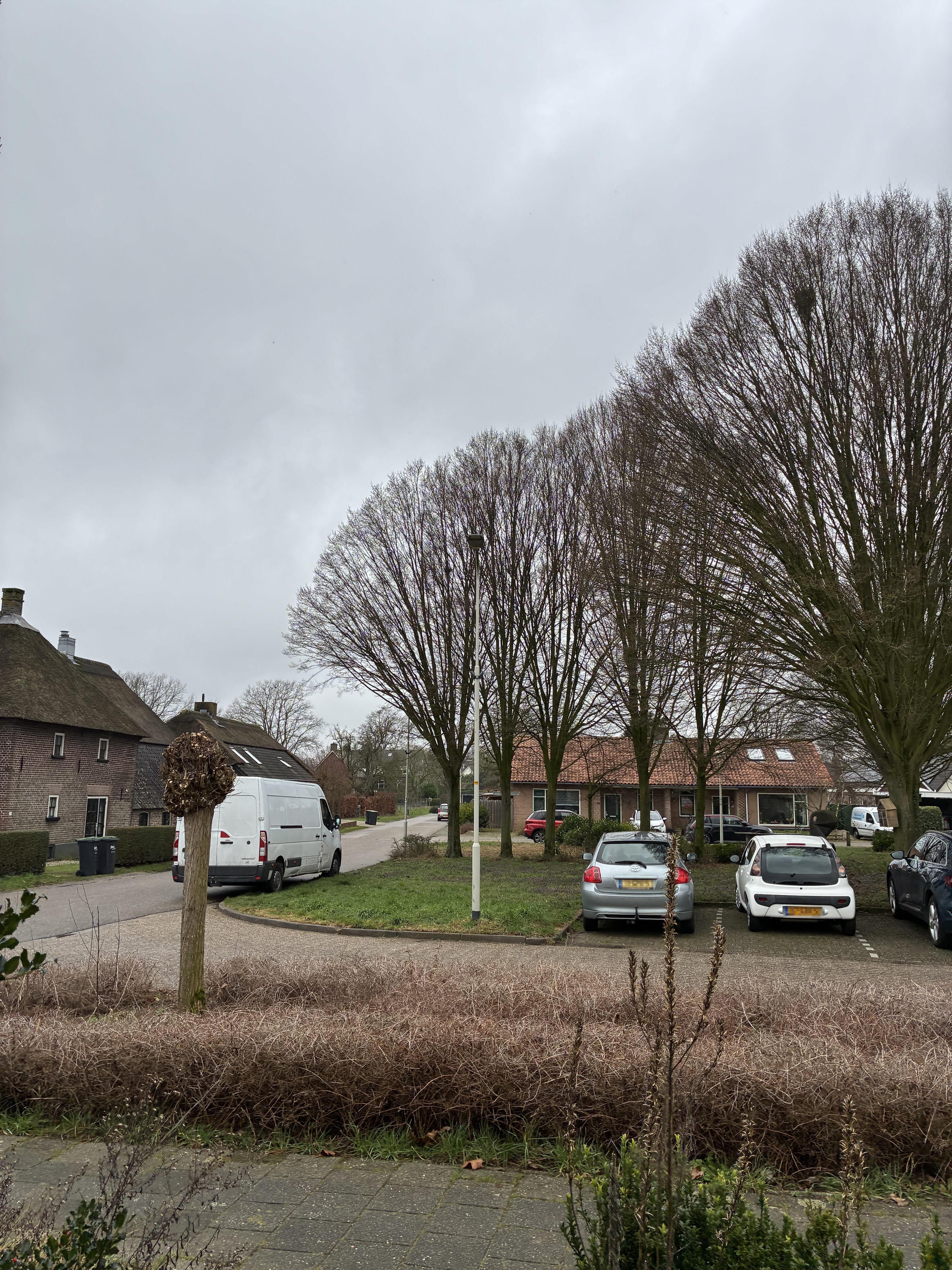 P. van Kuppenveldstraat 11