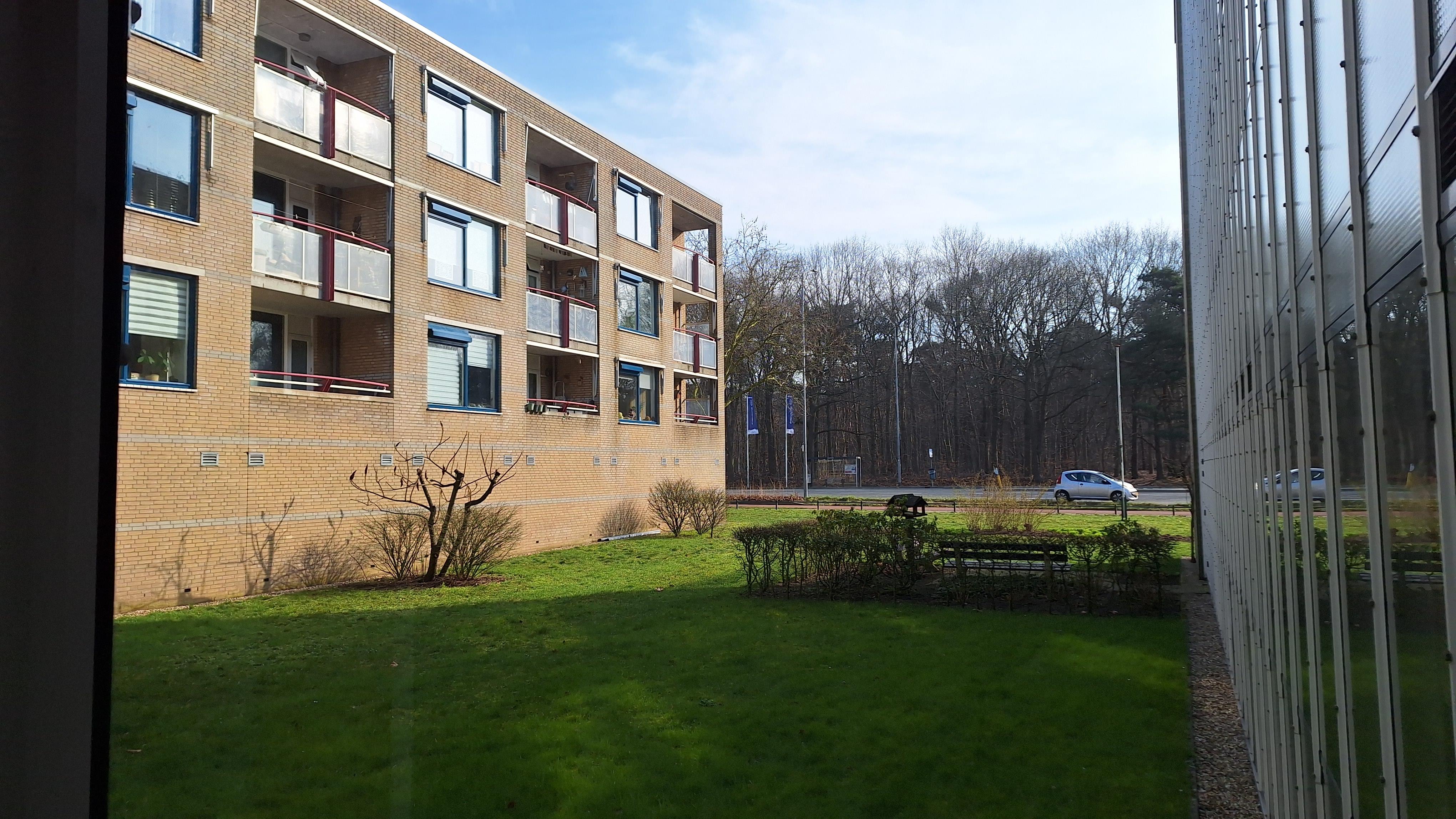 Van Het Hoffplantsoen 7