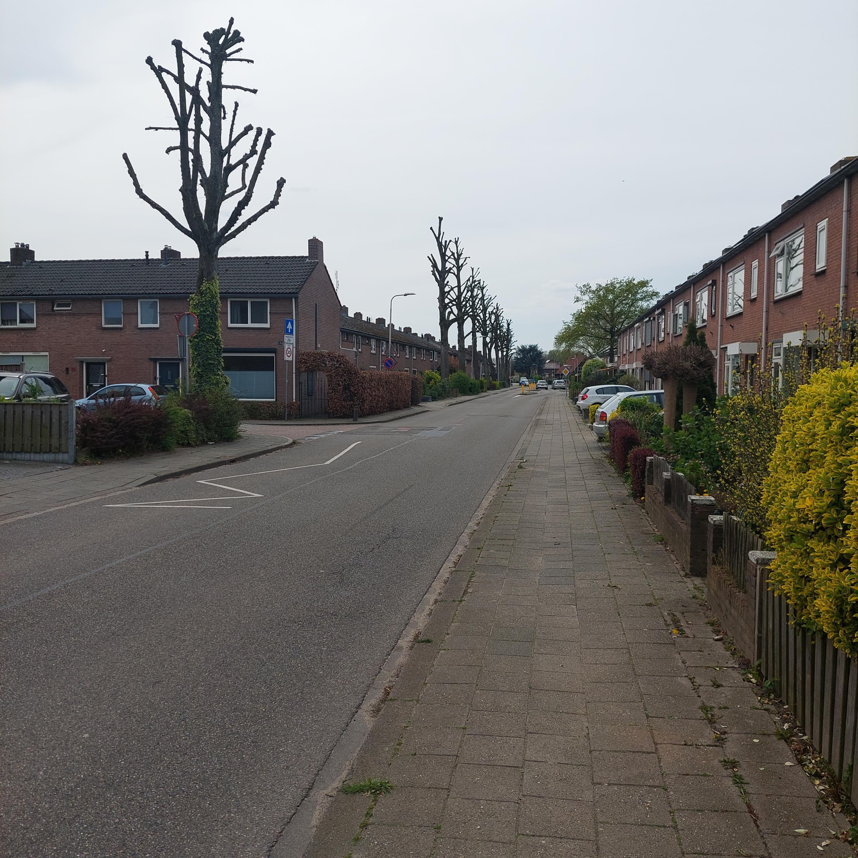 Bredestraat 25